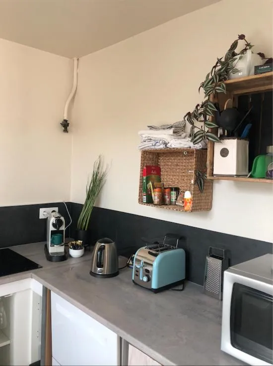 Kitchen or kitchenette in Kasaloc