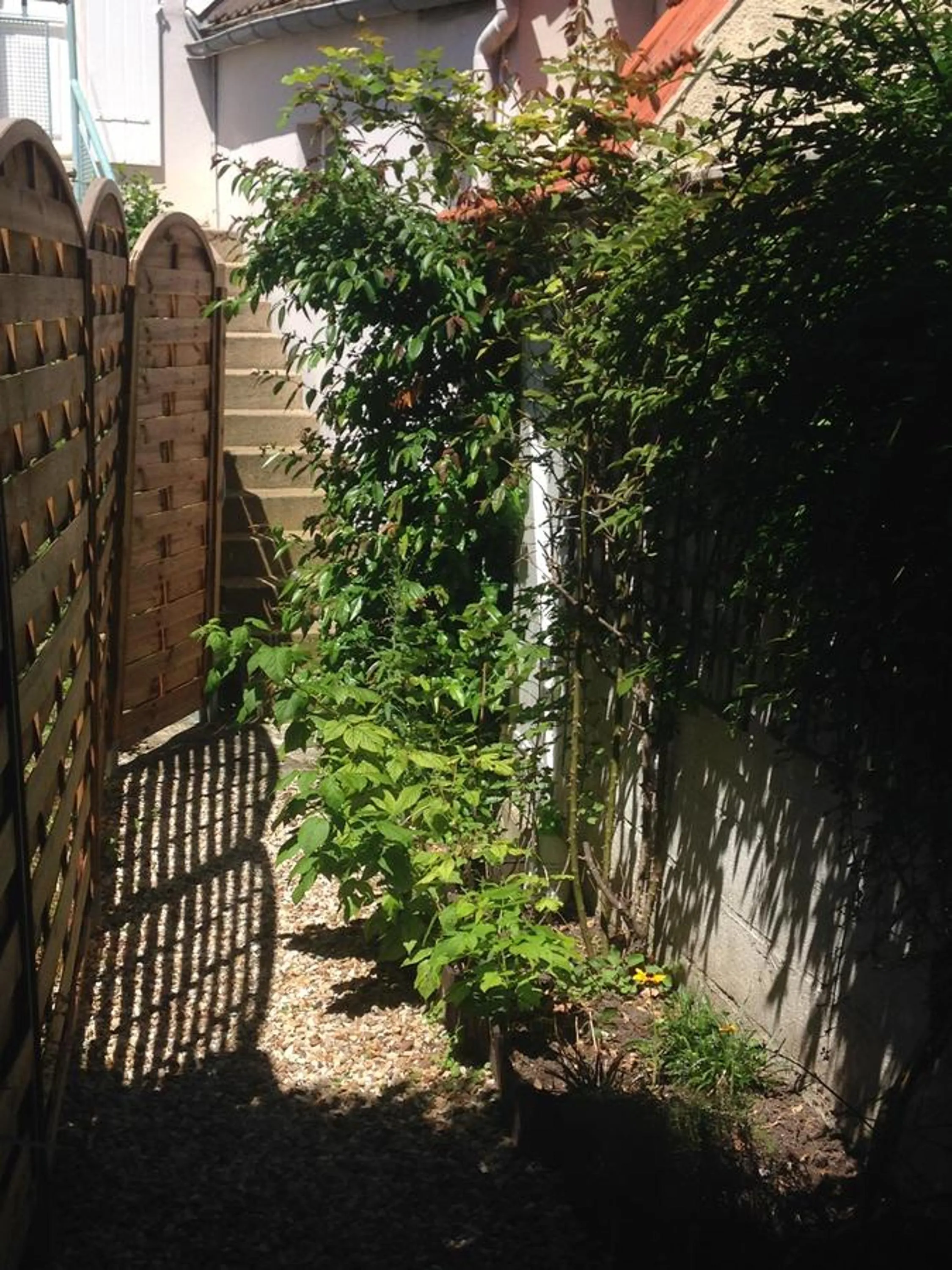 Property building in Kasaloc