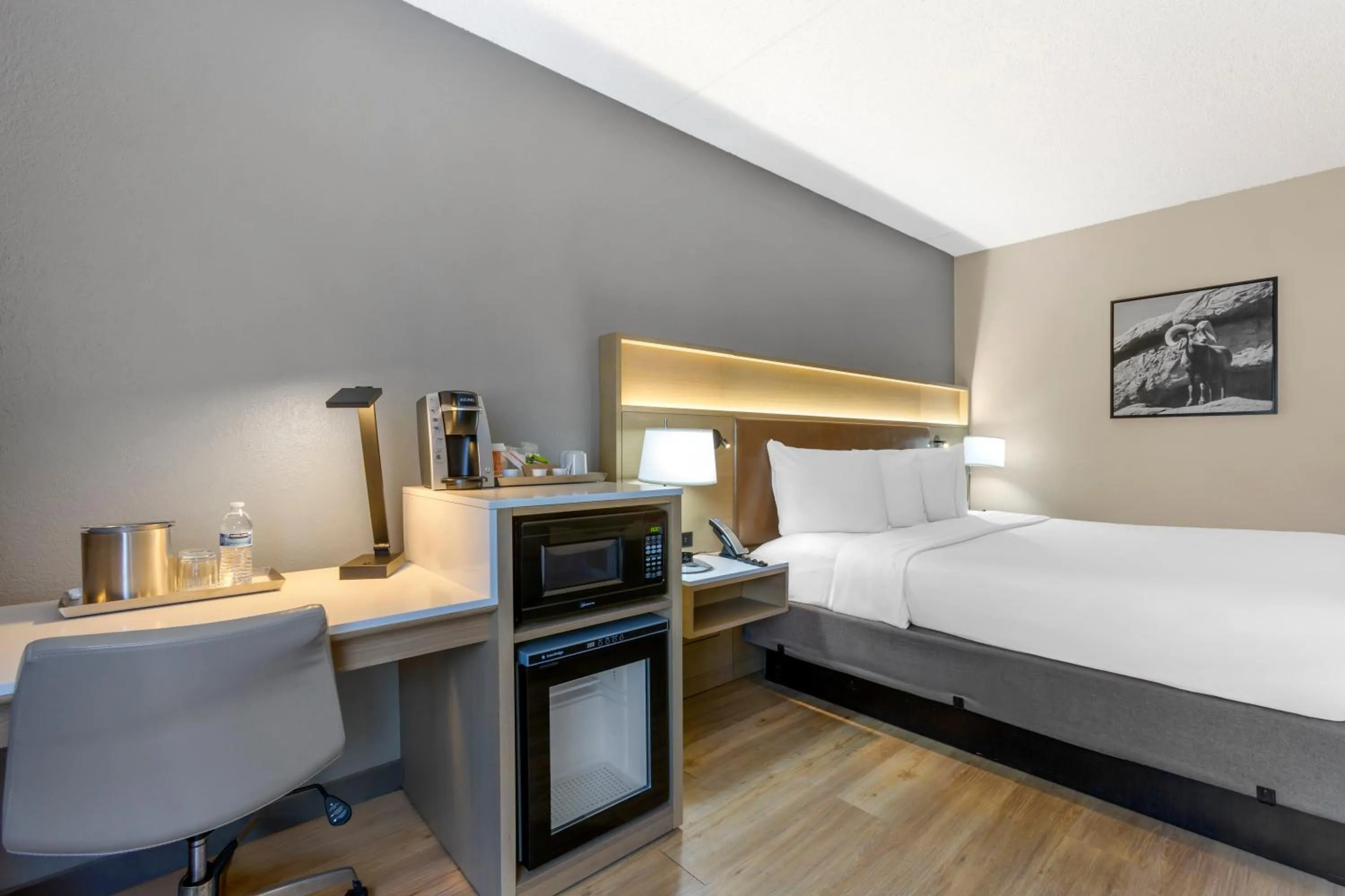 Bed in Radisson Hotel Casa Grande