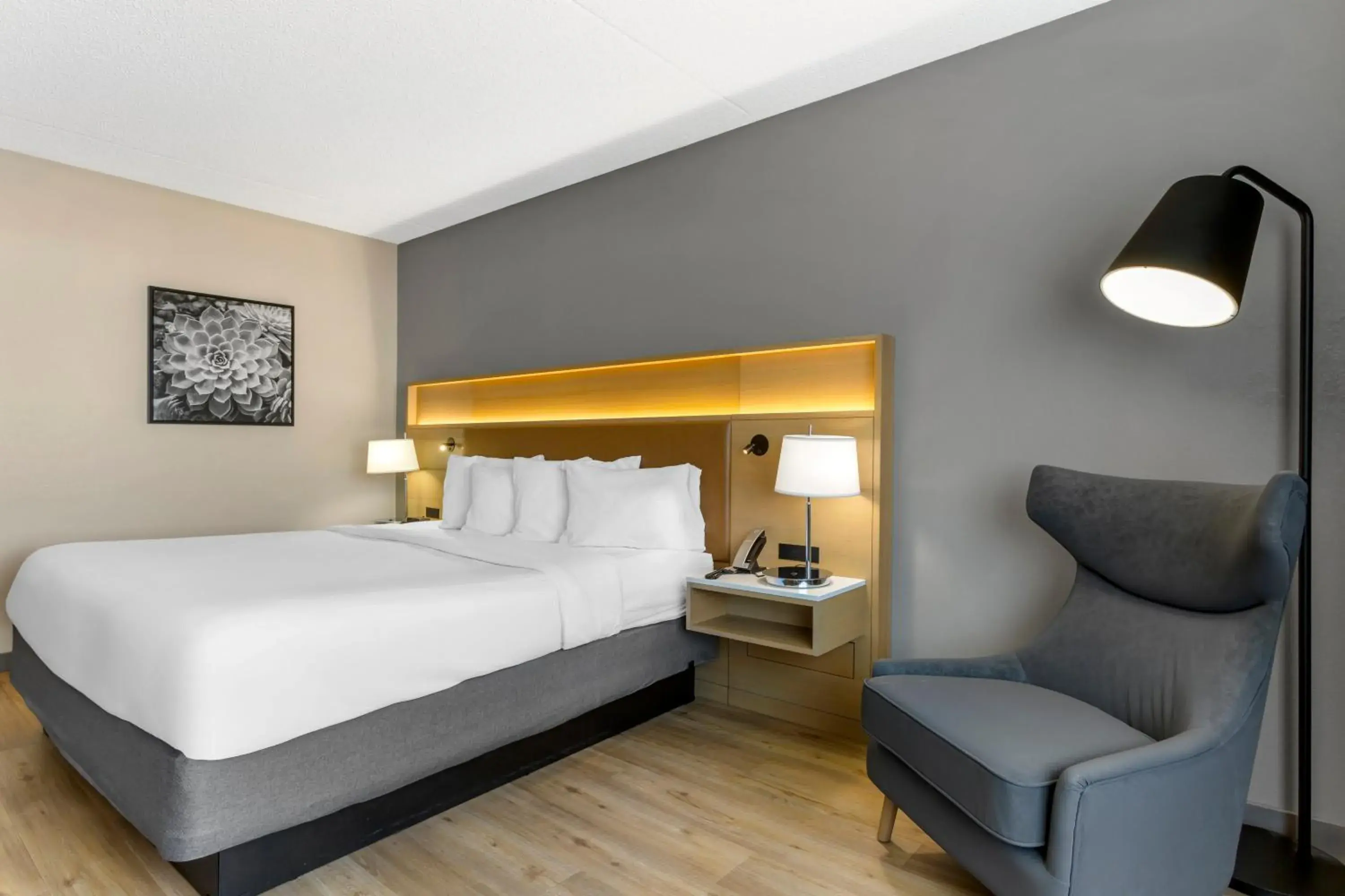 King Room - Non Smoking in Radisson Hotel Casa Grande King Room - Non Smoking in Radisson Hotel Casa Grande