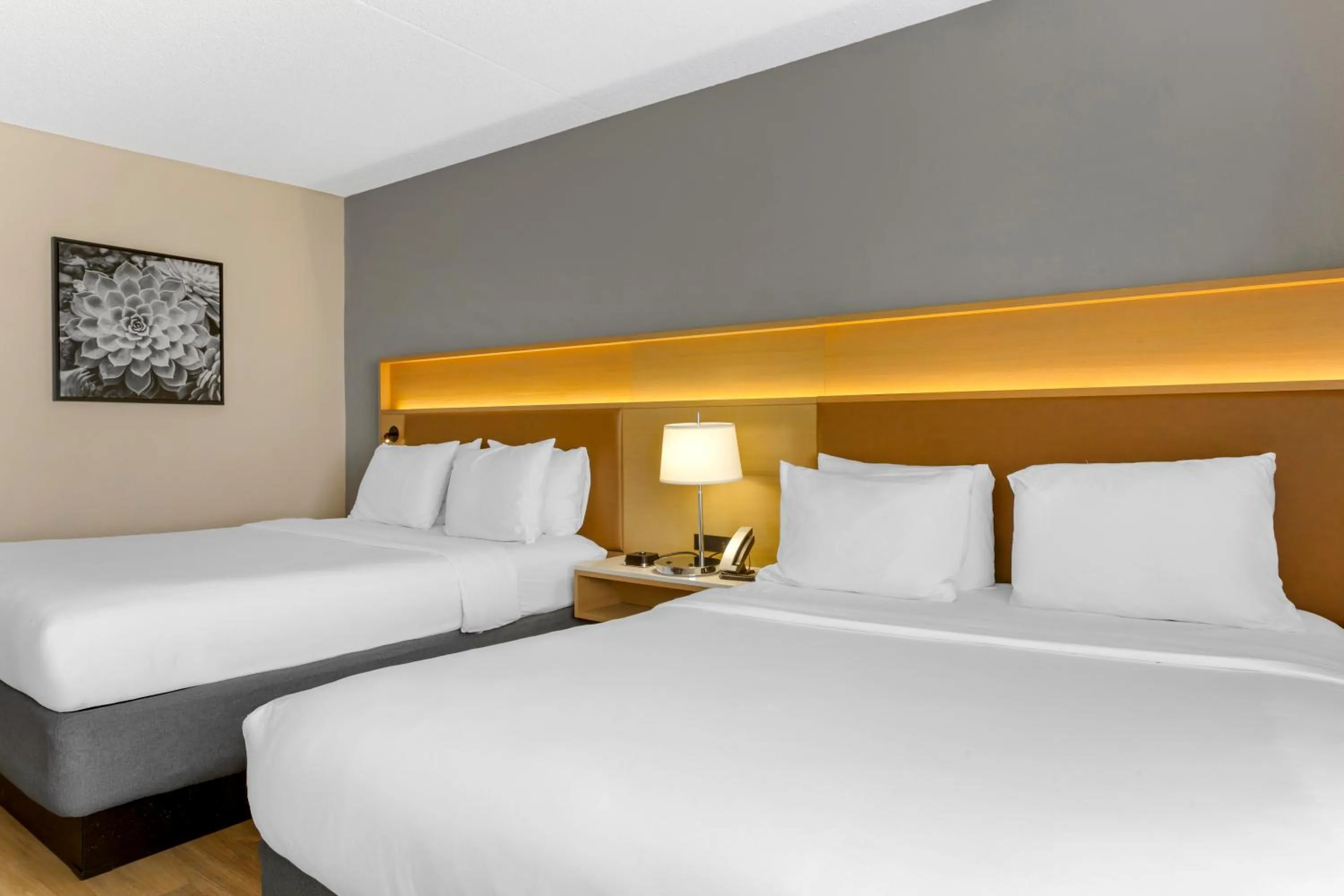 Bedroom, Bed in Radisson Hotel Casa Grande