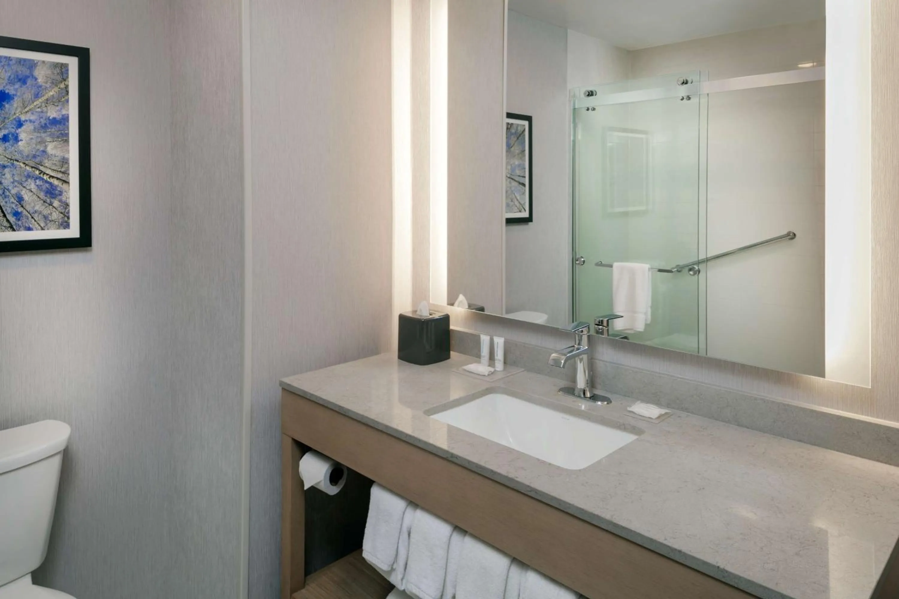 Bathroom in Hyatt Place Fairbanks