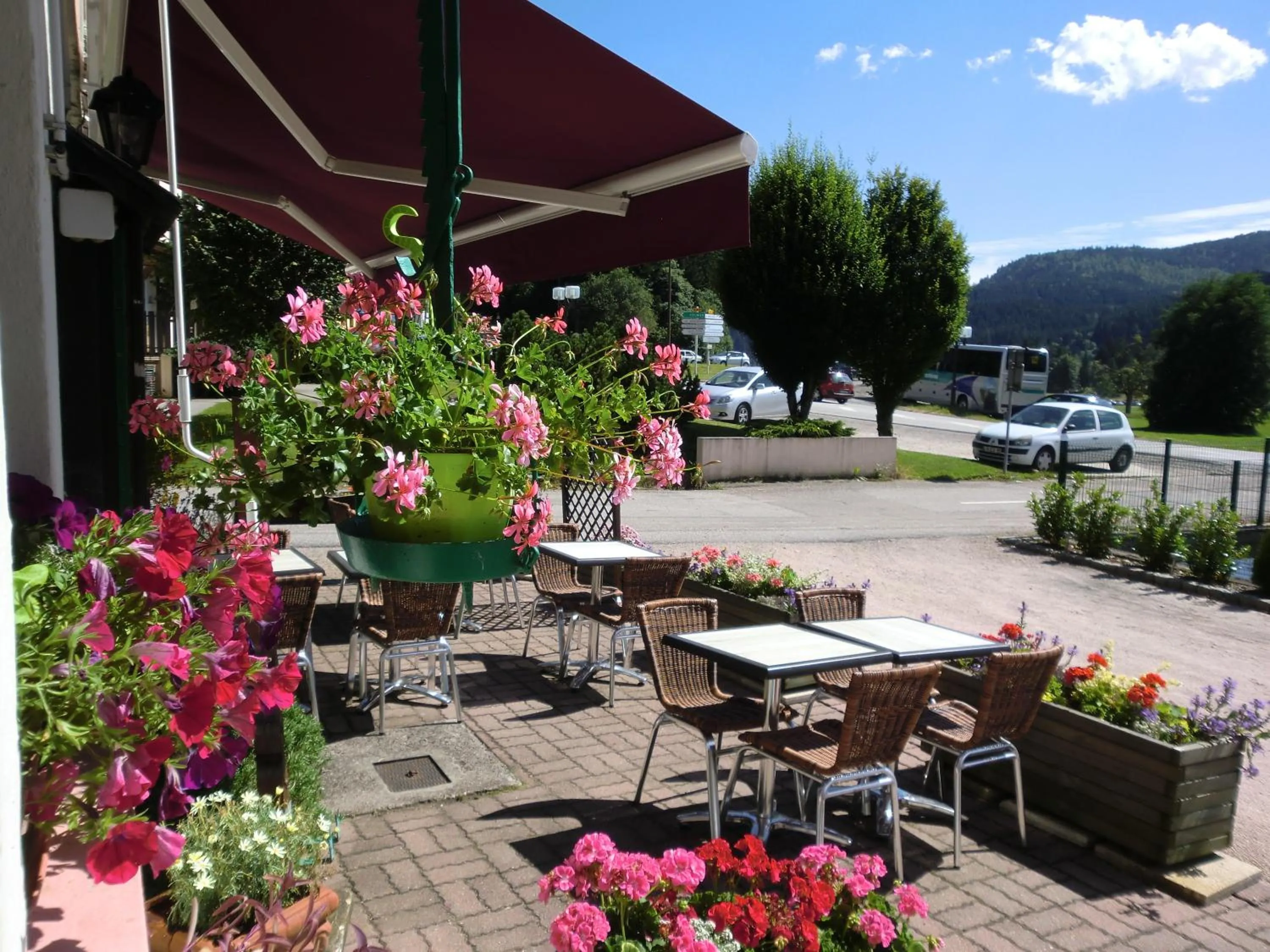 Balcony/Terrace in Hôtel La Vallée