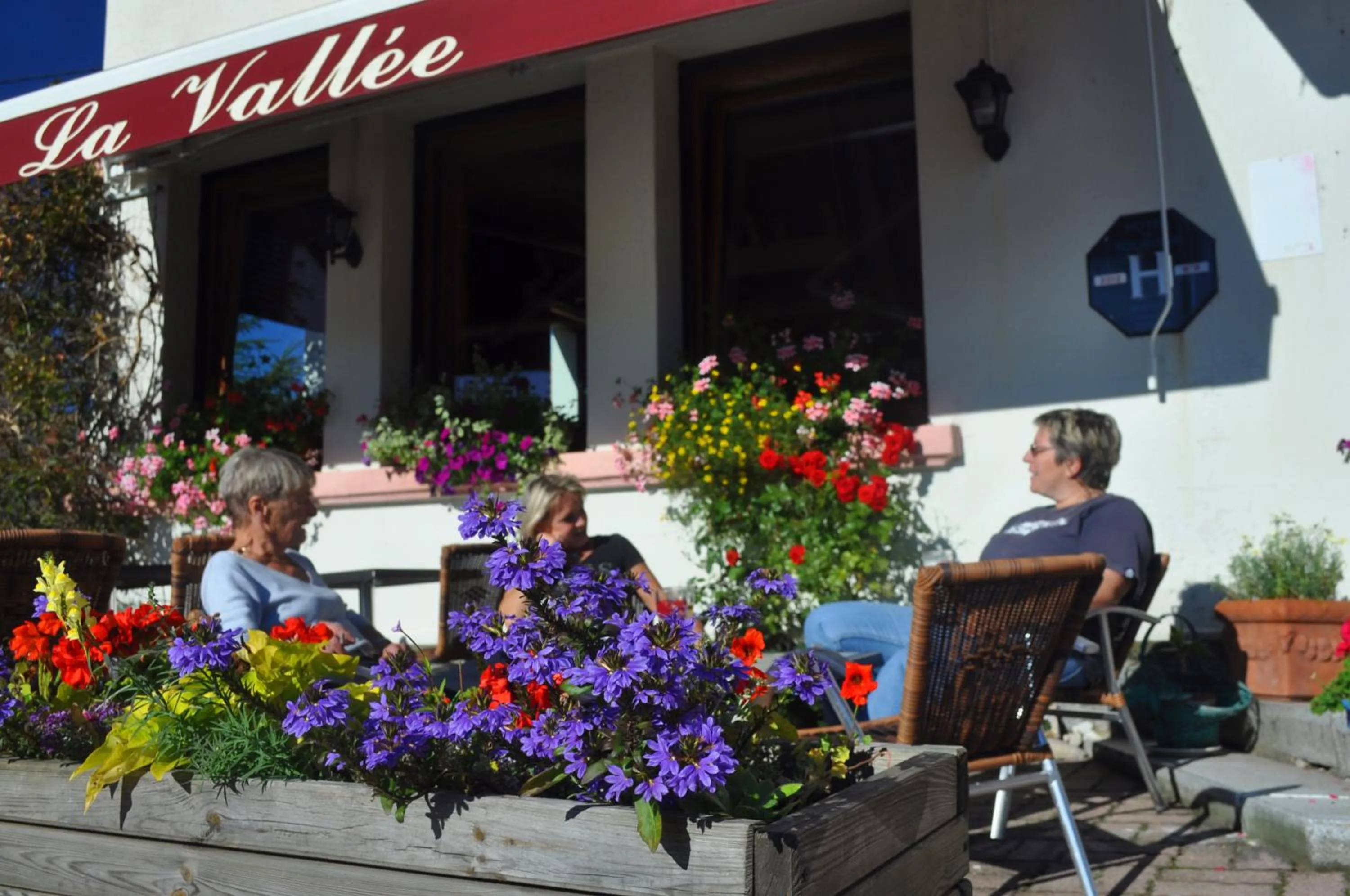 Balcony/Terrace in Hôtel La Vallée