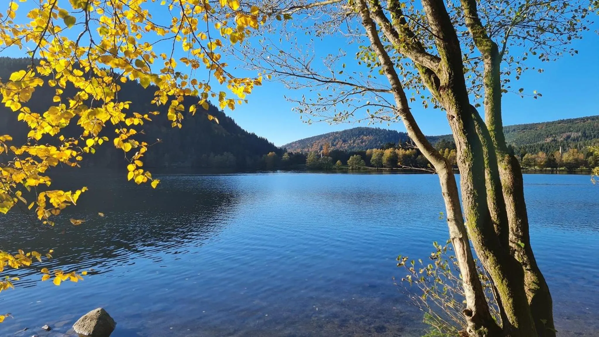 Location in Hôtel La Vallée