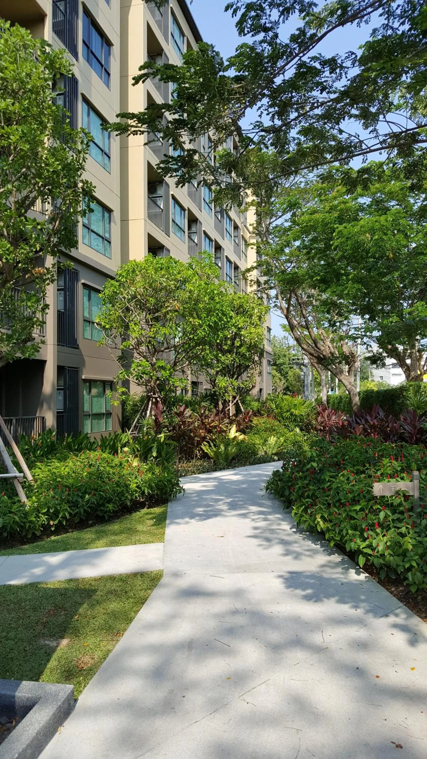 Garden in The Relaxing Room Pool Access at Rain Resort Condominium Cha Am- Hua Hin