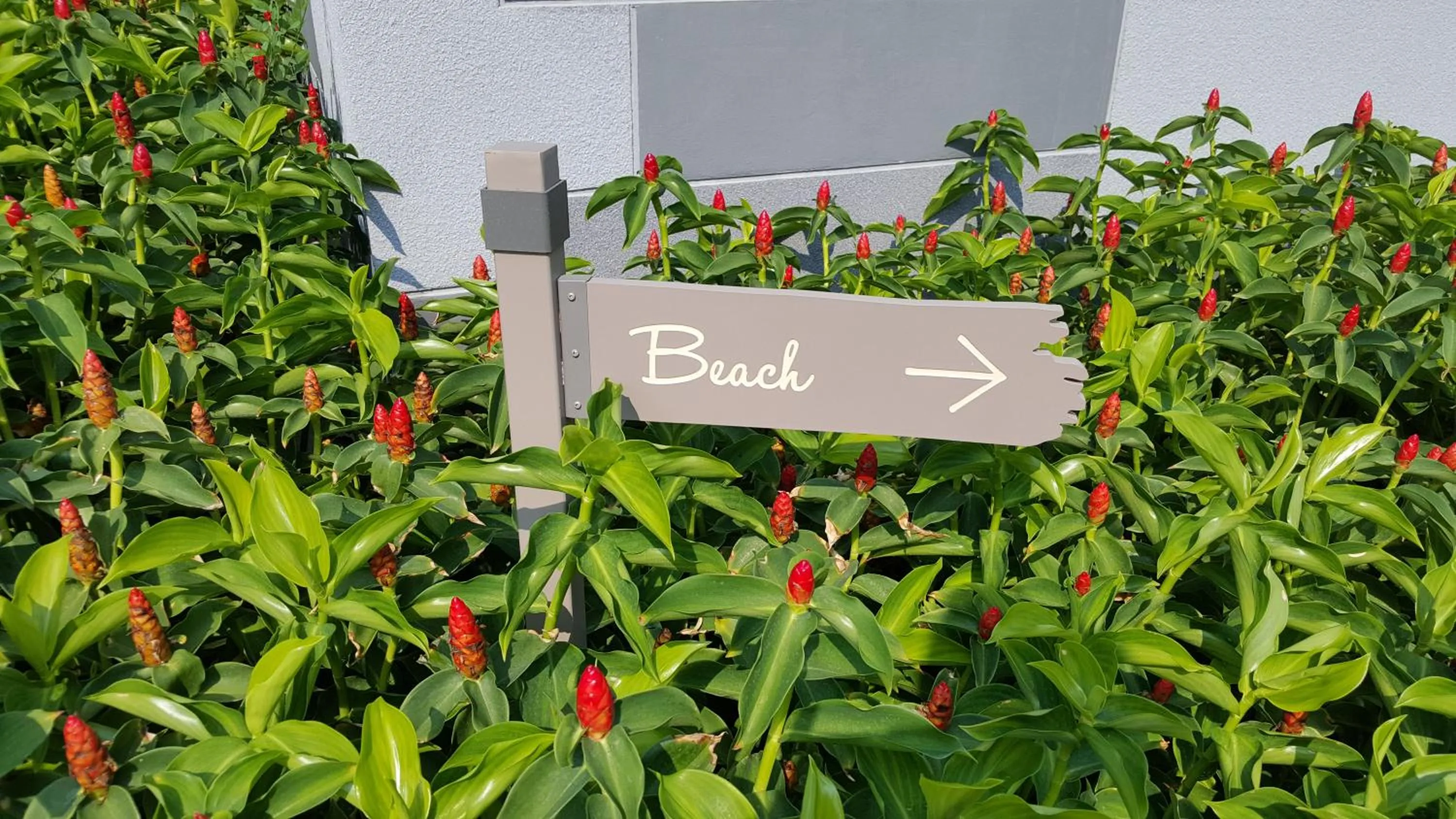 Beach in The Relaxing Room Pool Access at Rain Resort Condominium Cha Am- Hua Hin