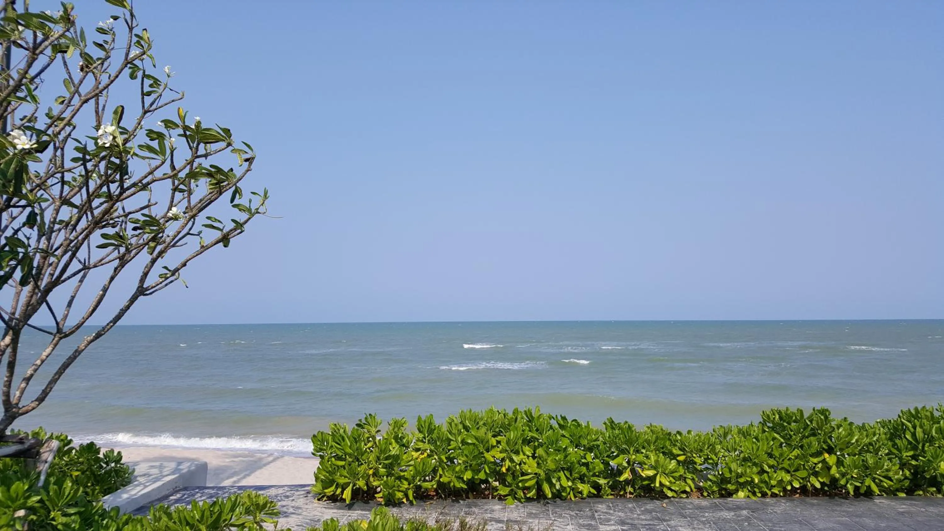 Beach in The Relaxing Room Pool Access at Rain Resort Condominium Cha Am- Hua Hin