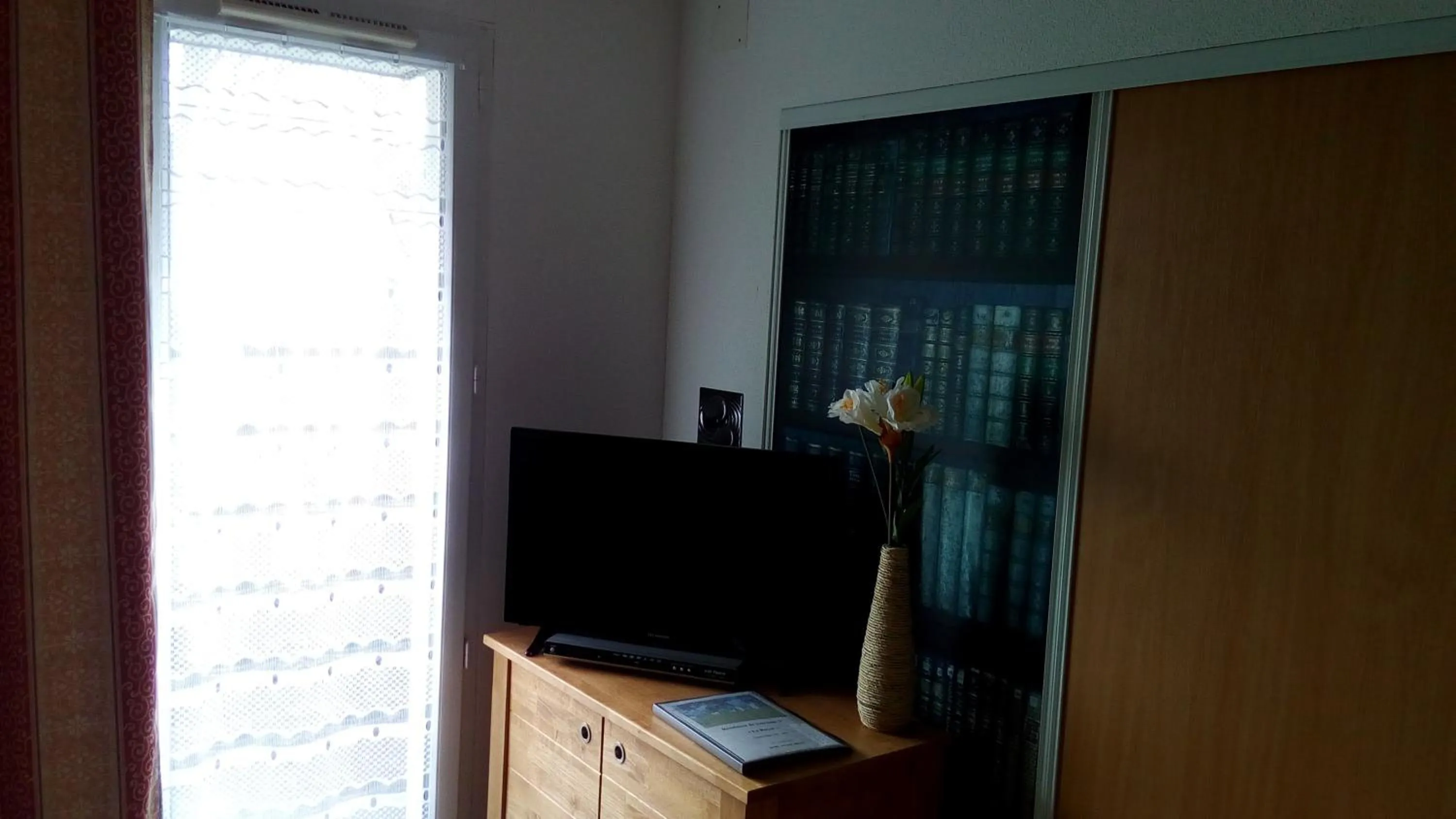 TV and multimedia in Le Roi du Sundgau près de la Horse - Mooslargue