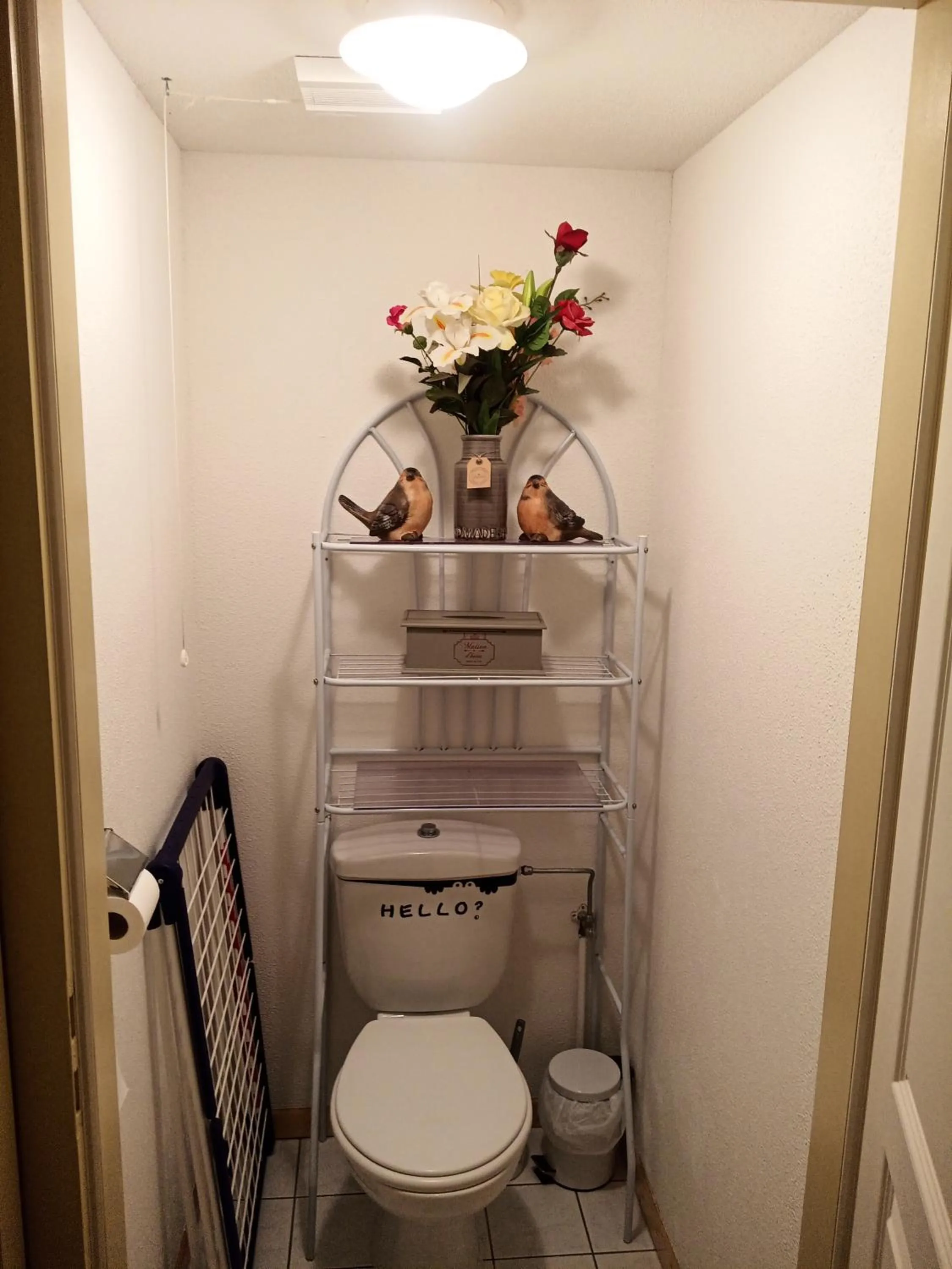 Le Roi du Sundgau près de la Horse - Mooslargue