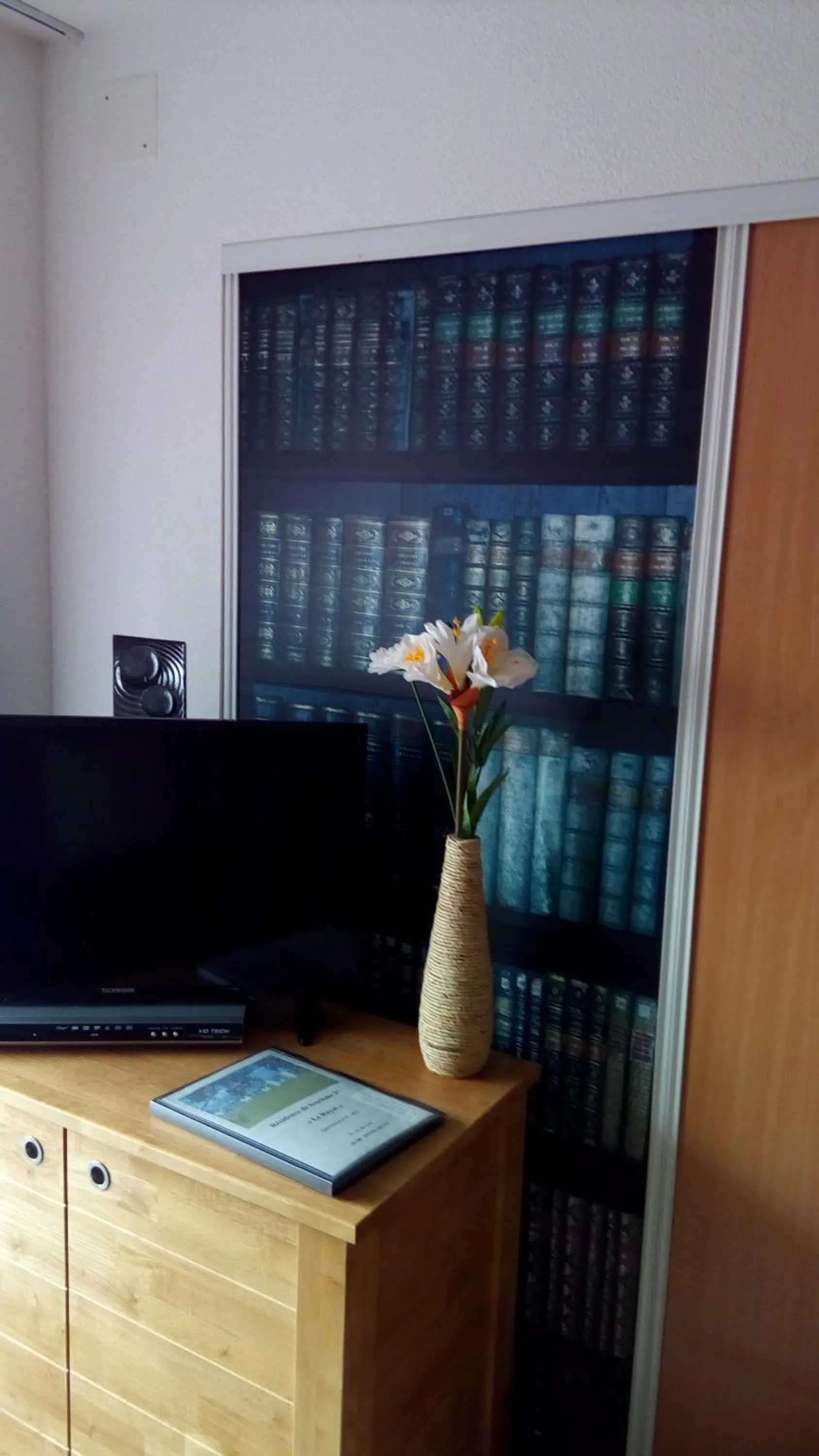 TV and multimedia in Le Roi du Sundgau près de la Horse - Mooslargue