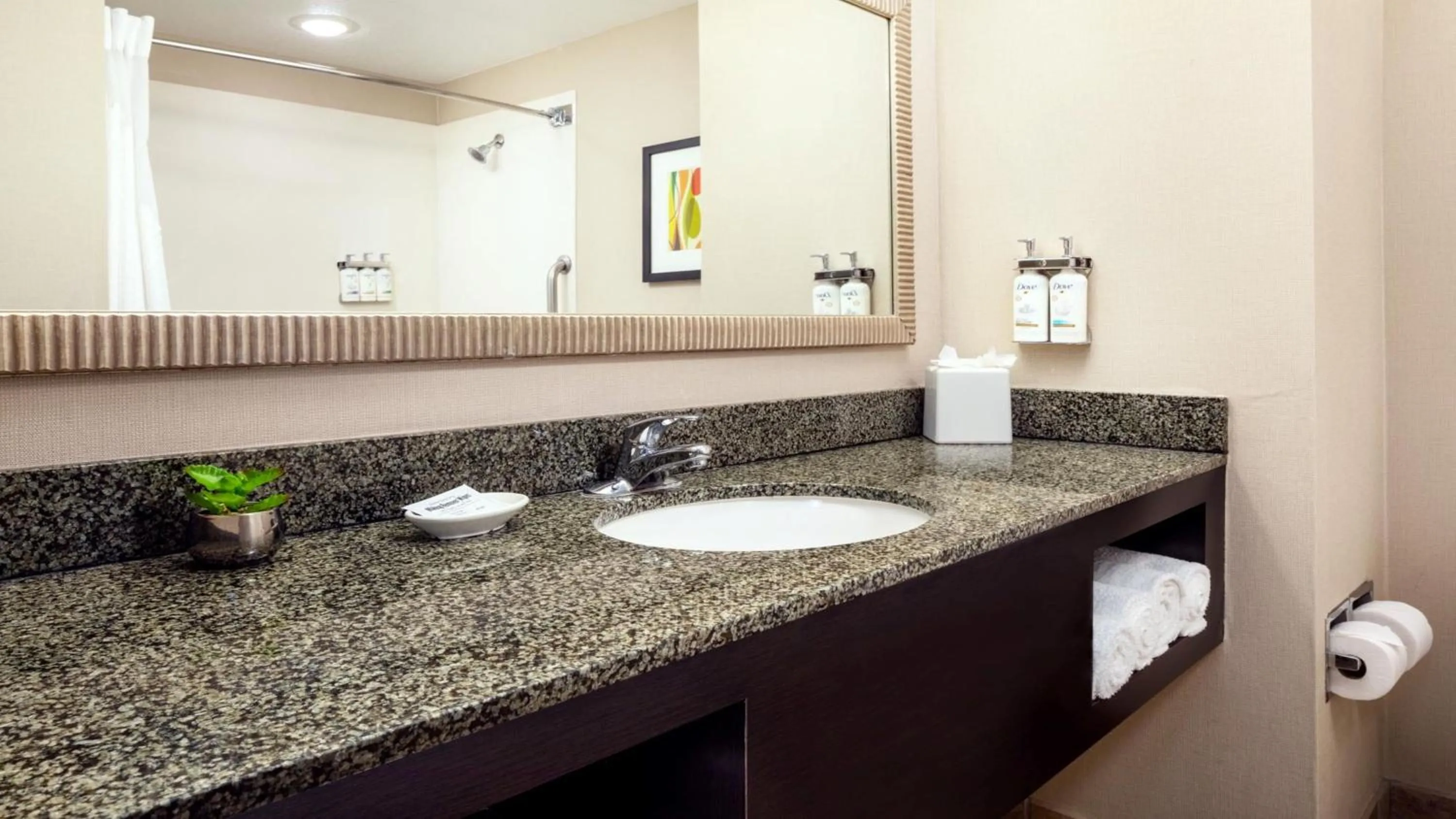 Bathroom in Holiday Inn Phoenix/Chandler by IHG