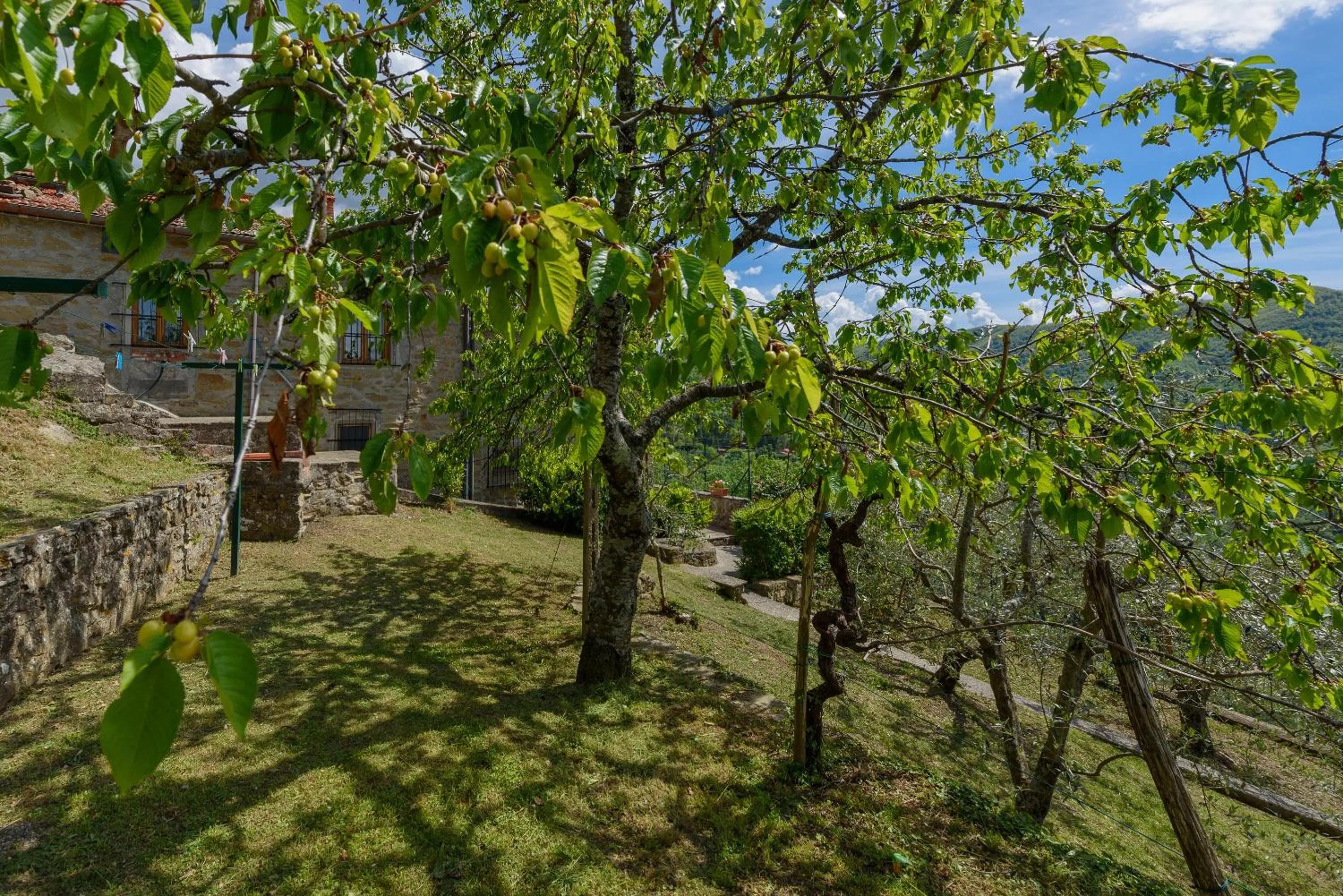 Agriturismo Casapasserini