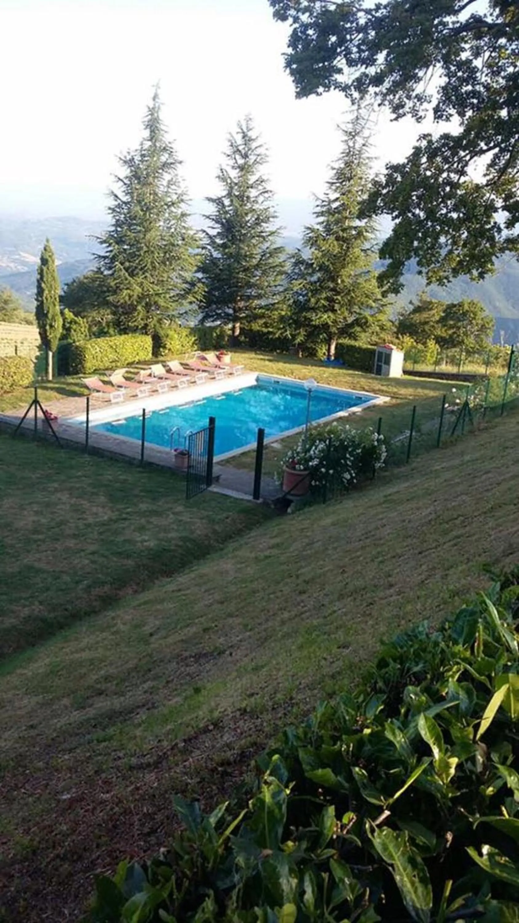 Swimming pool in Agriturismo Casapasserini