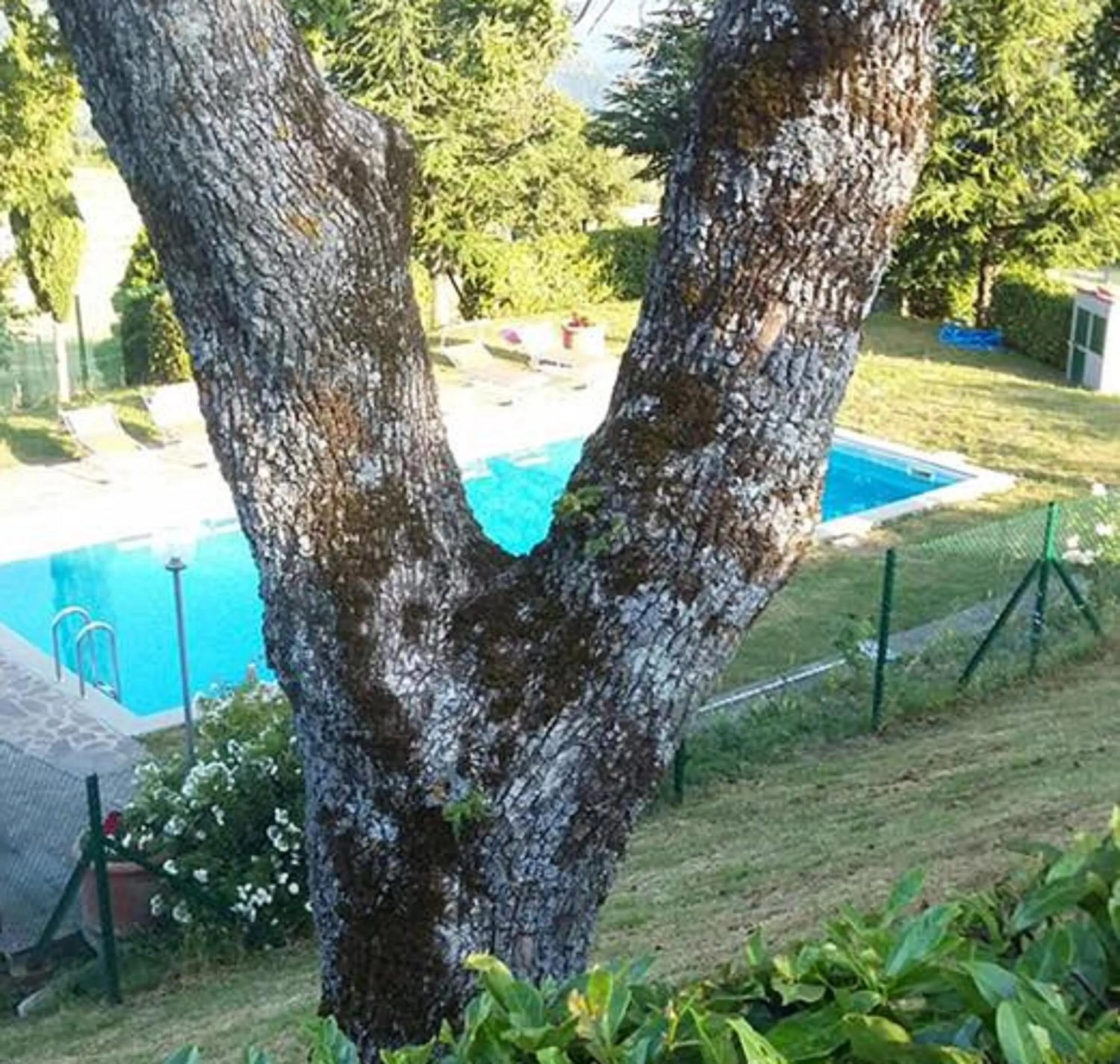 Other in Agriturismo Casapasserini