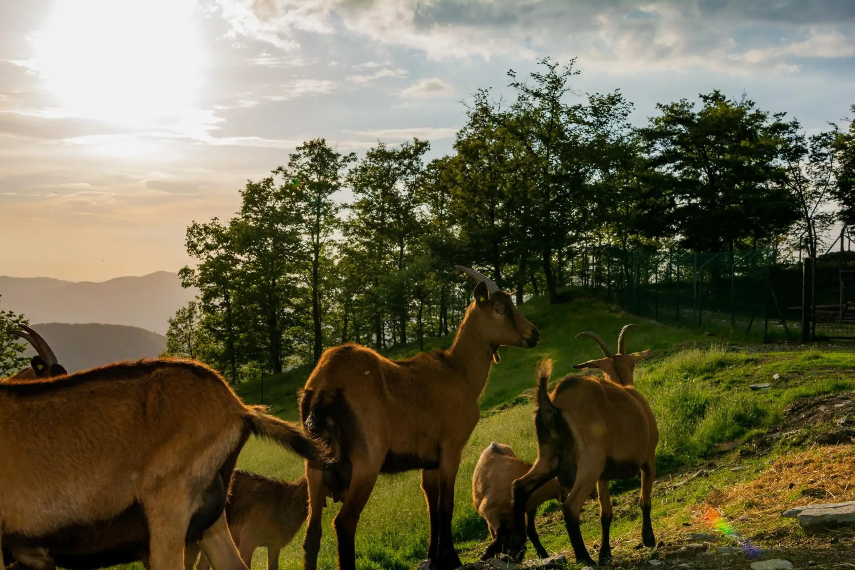 Two-Bedroom Apartment in Agriturismo Casapasserini Two-Bedroom Apartment in Agriturismo Casapasserini