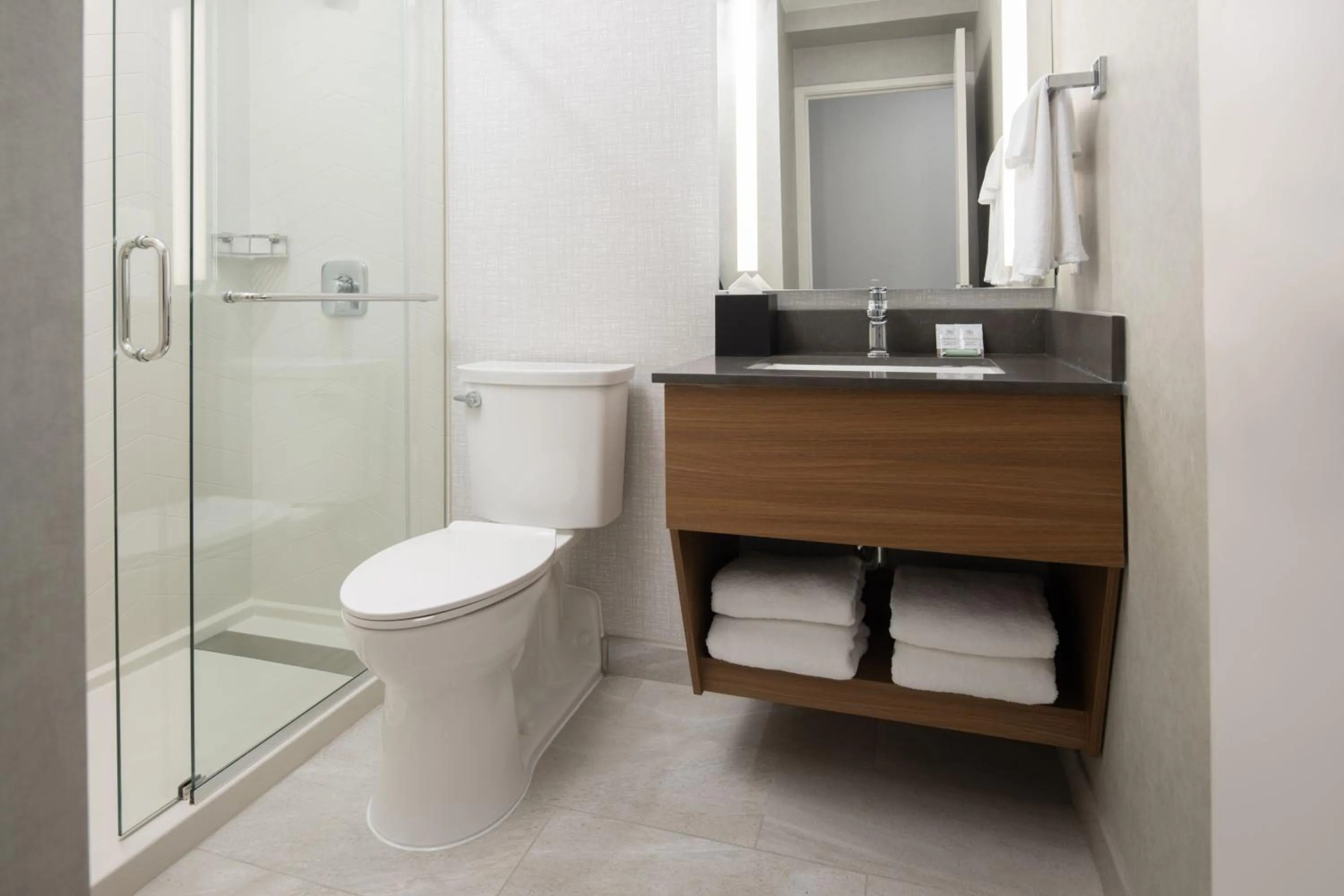 Bathroom in Fairfield by Marriott Issaquah