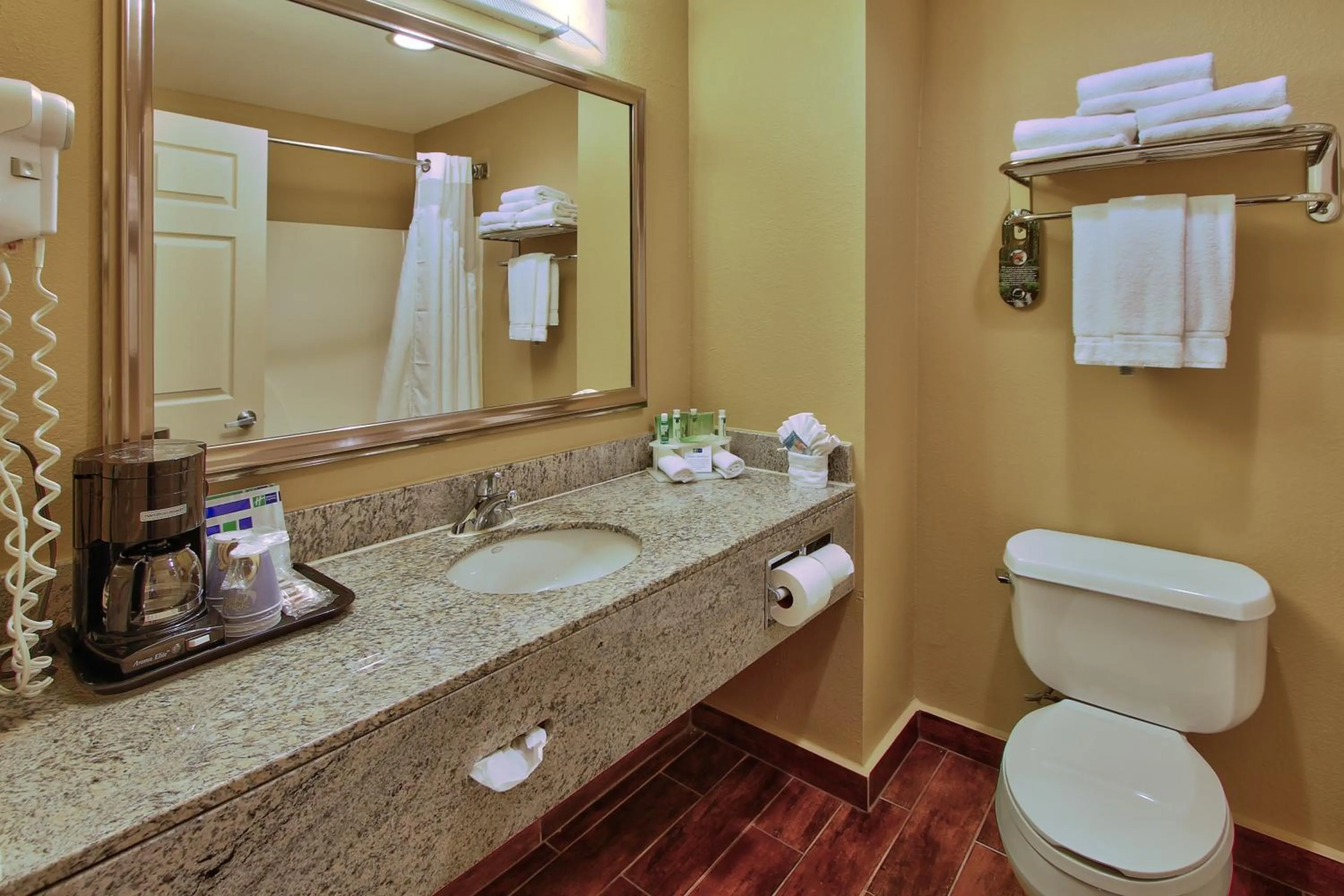 Bathroom in Holiday Inn Express Hotel & Suites Houston-Downtown Convention Center by IHG