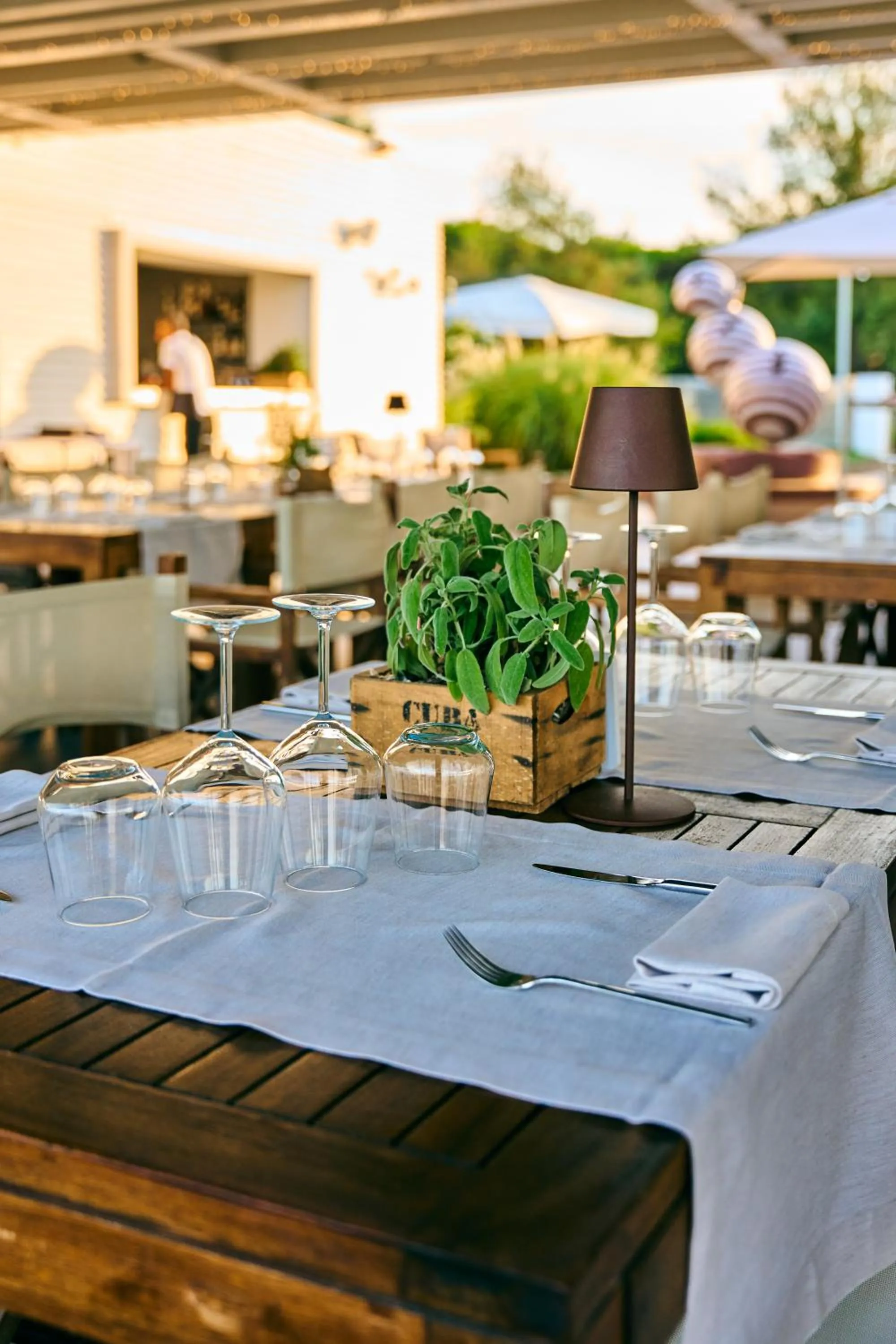 Restaurant/places to eat in MarePineta Resort