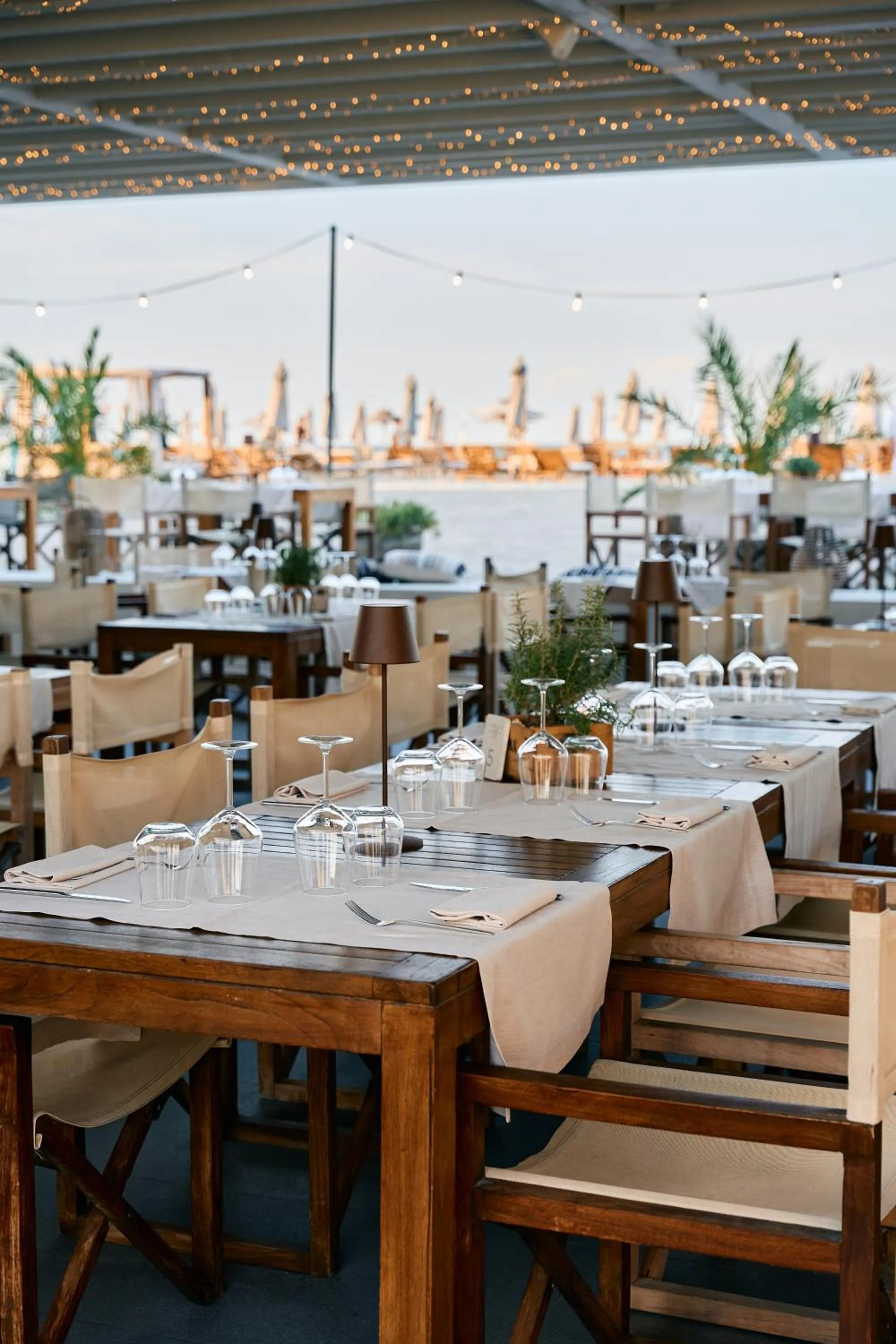 Restaurant/places to eat in MarePineta Resort