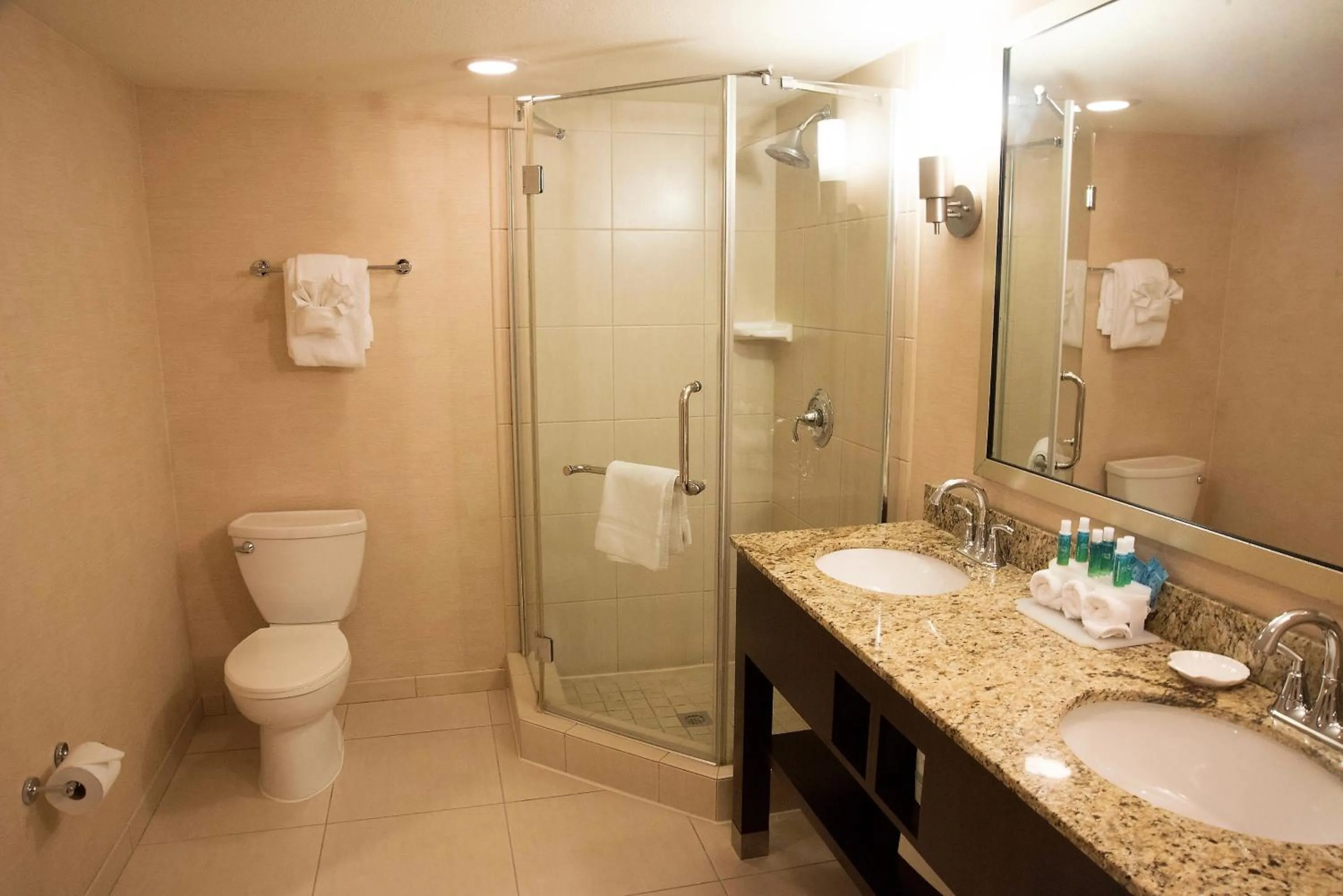 Bathroom in Holiday Inn Express Baltimore BWI Airport West by IHG