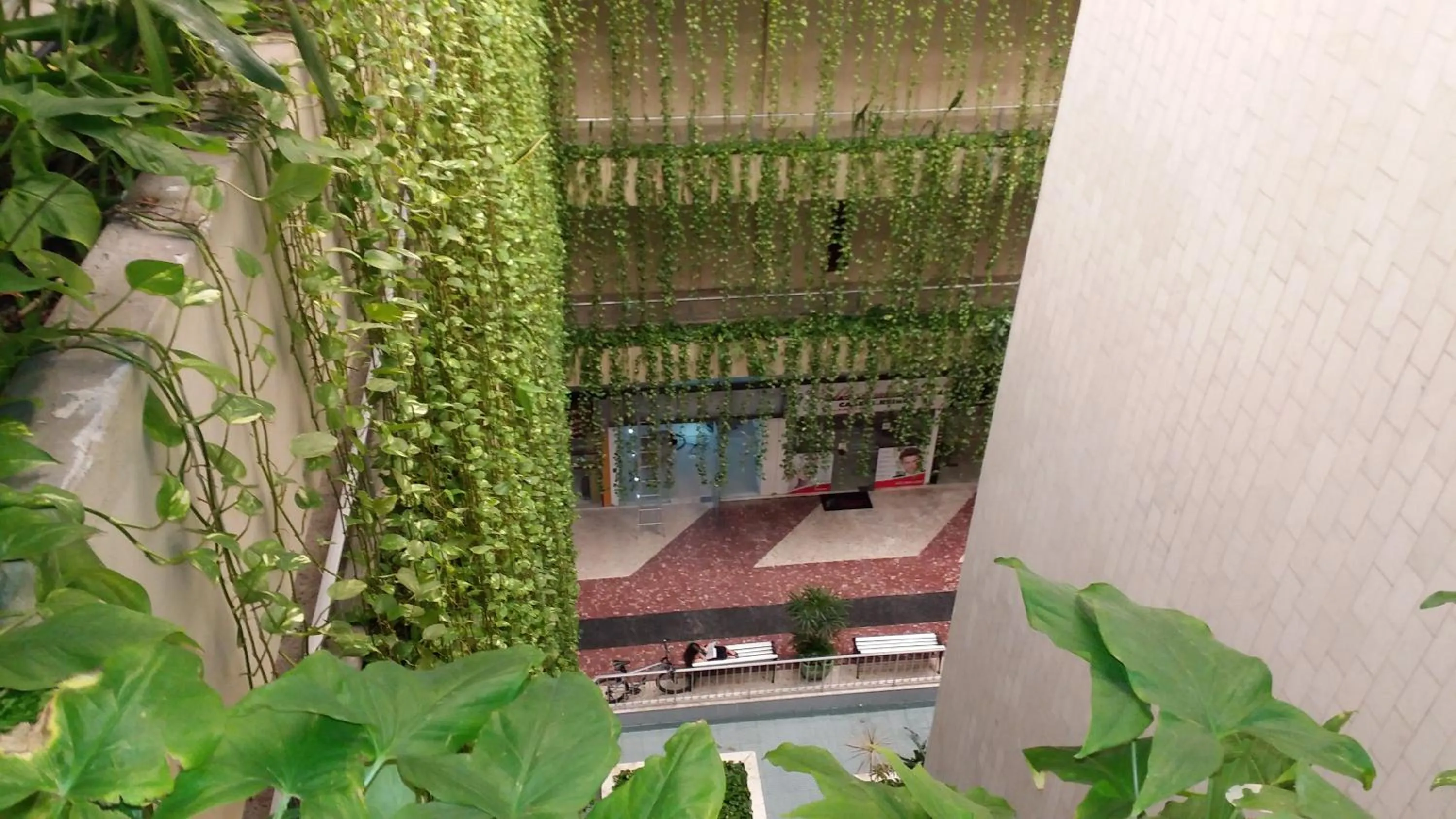 Property building in Summer Dream