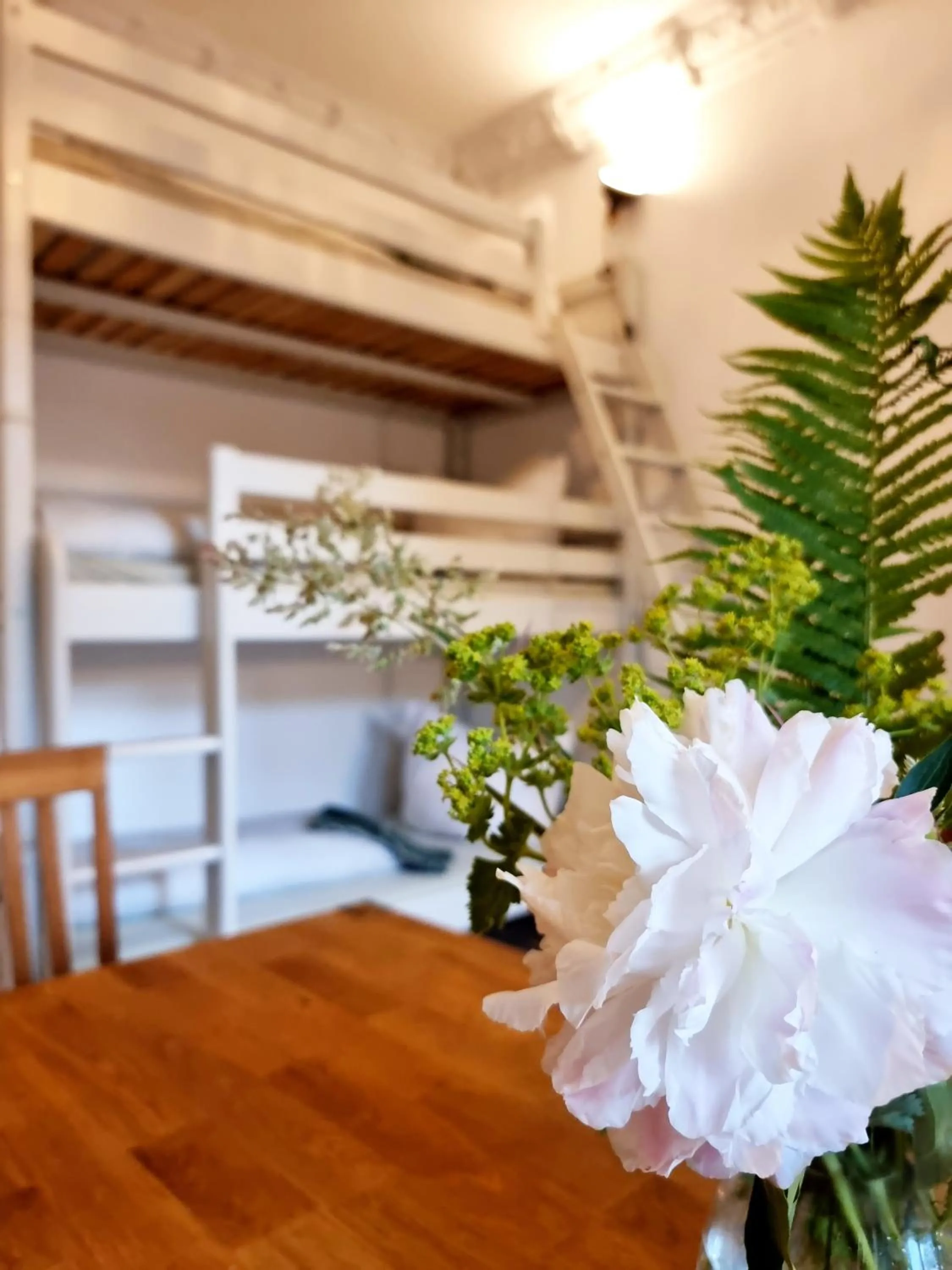 Decorative detail in Hostel Lollis Homestay Dresden