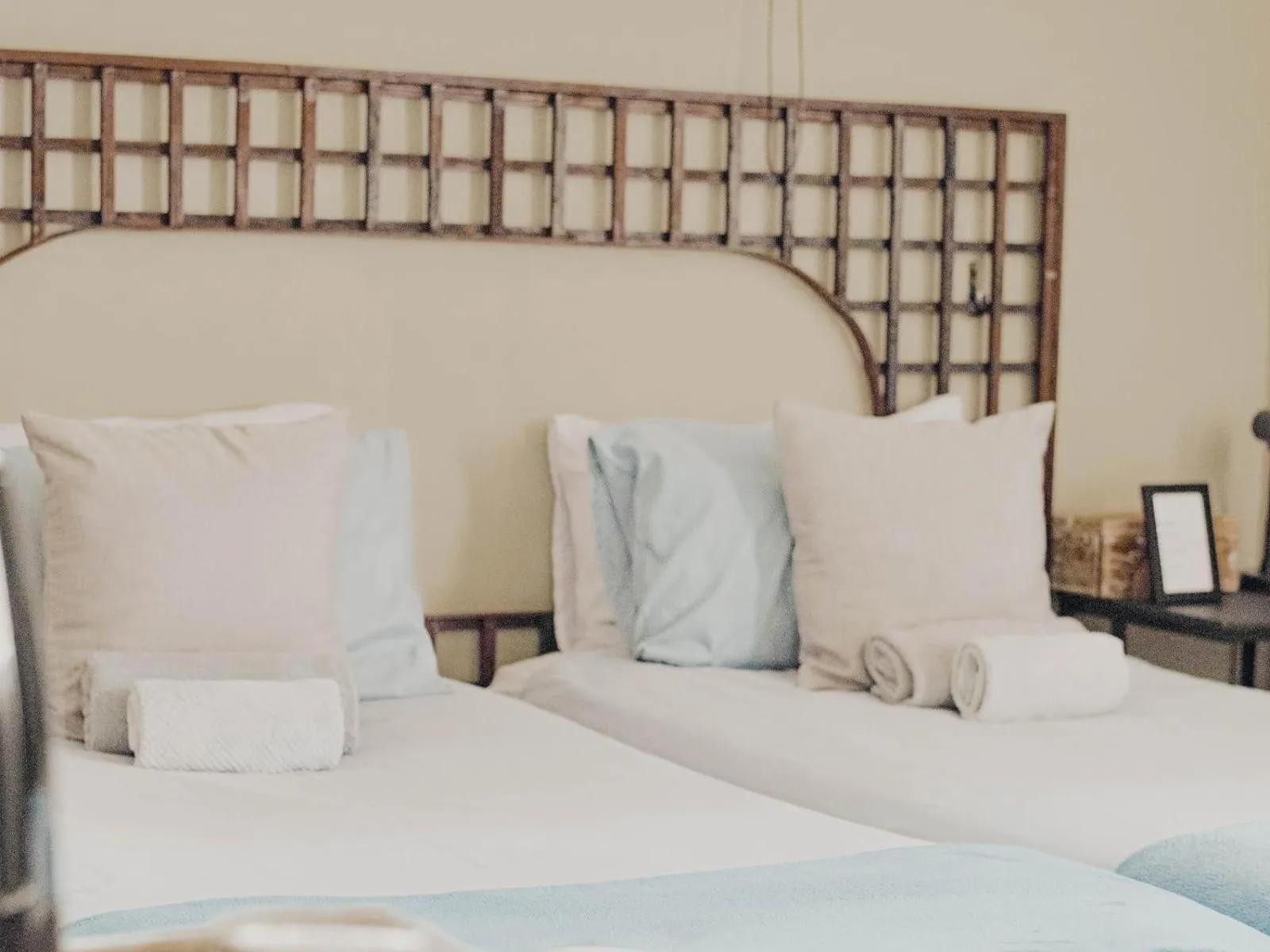 Bed in Kate's Nest Guesthouse & Backpackers