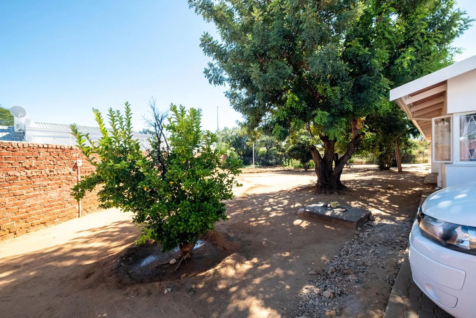 Garden in Kate's Nest Guesthouse & Backpackers
