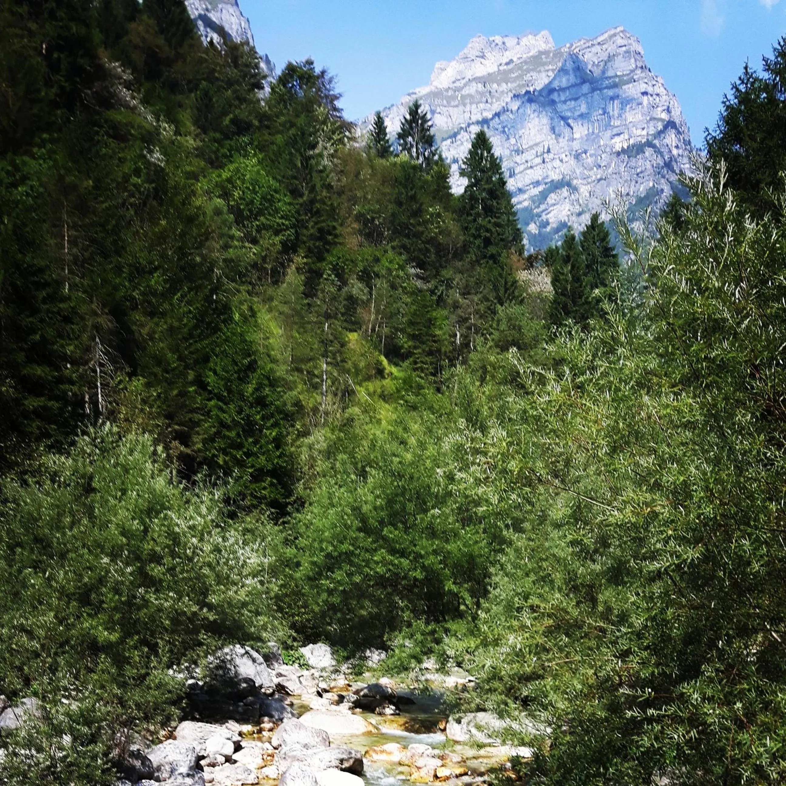 Nearby landmark in Green Rose