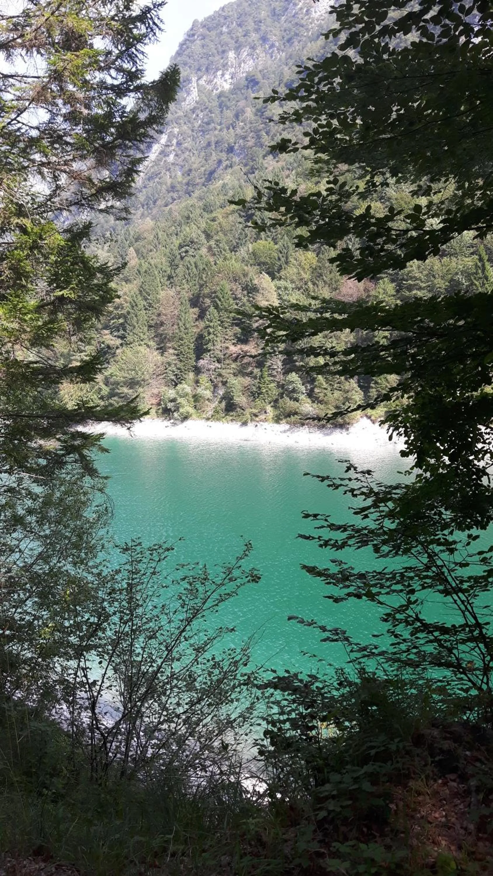 Nearby landmark in Green Rose