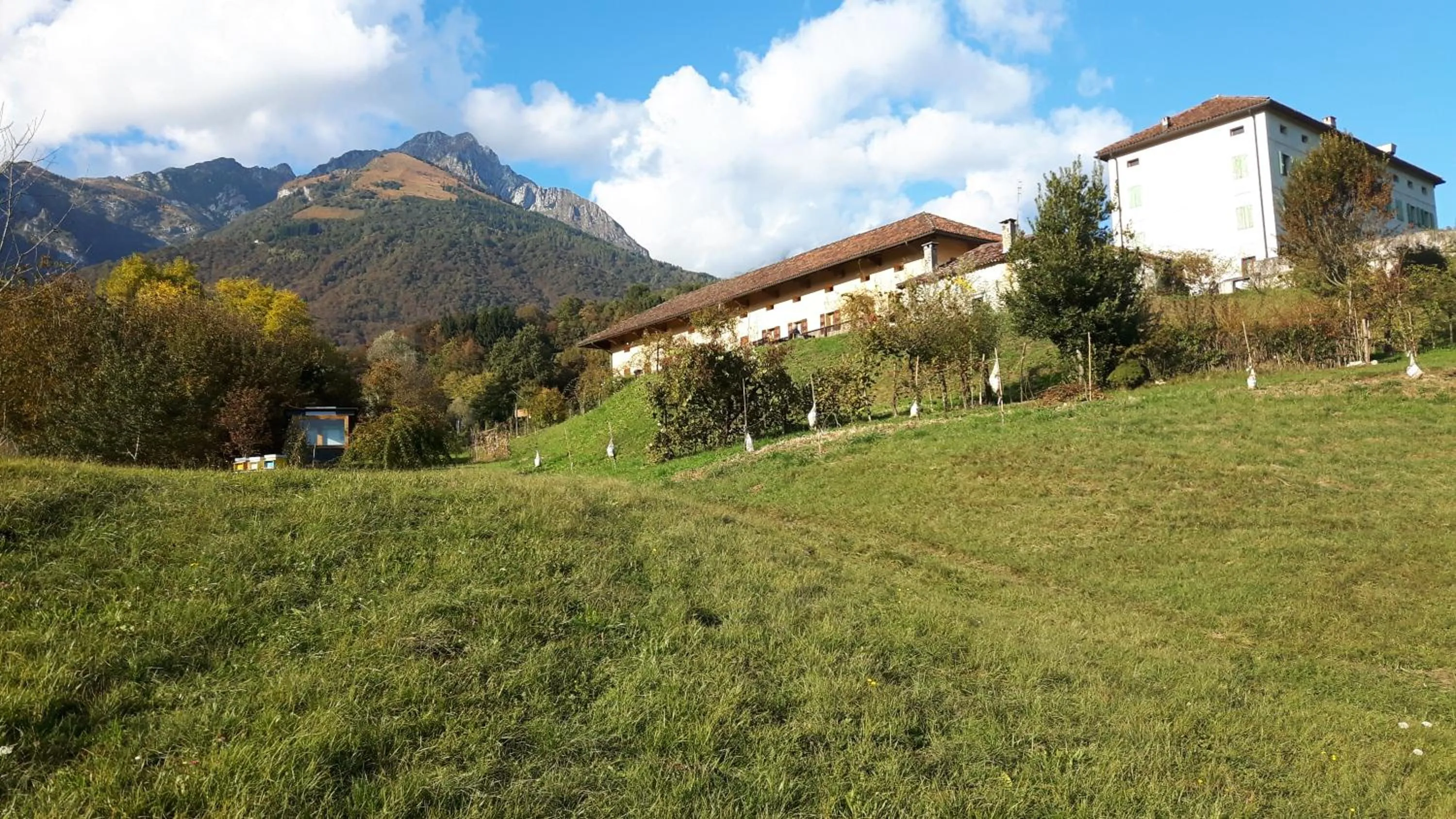 Nearby landmark in Green Rose