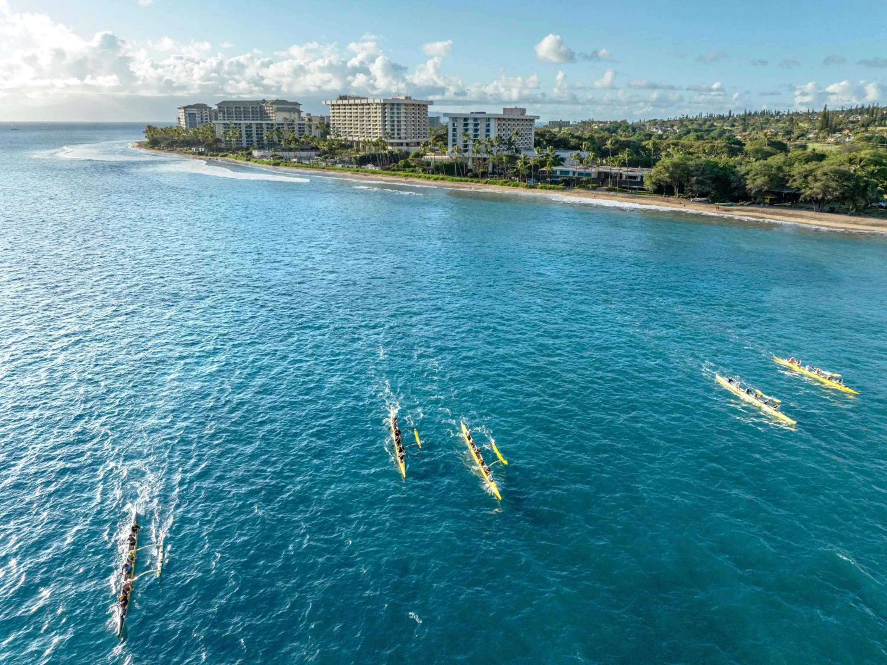 Location in Hyatt Regency Maui Resort & Spa