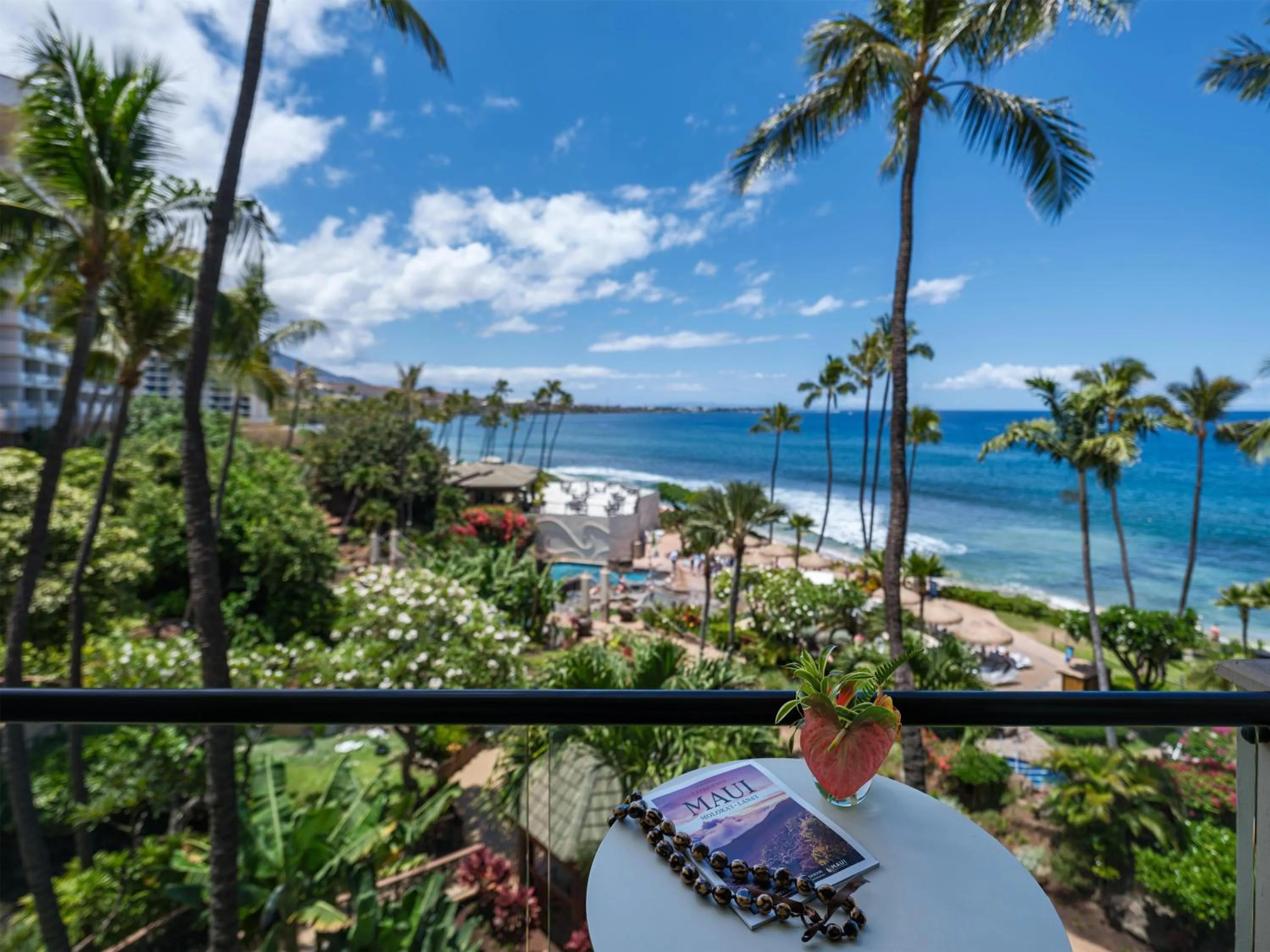 View (from property/room) in Hyatt Regency Maui Resort & Spa