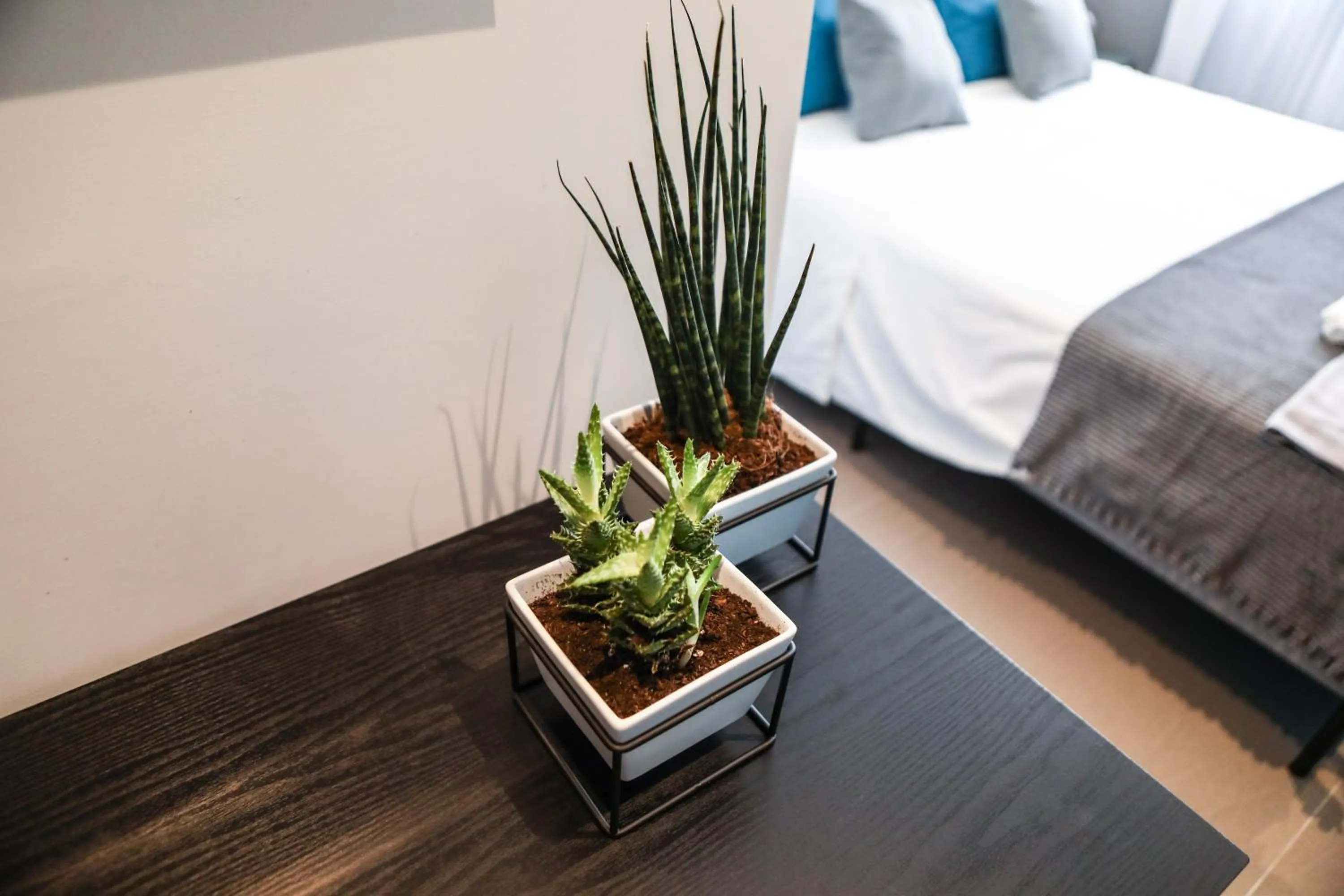 Decorative detail, Bed in Materdays 24