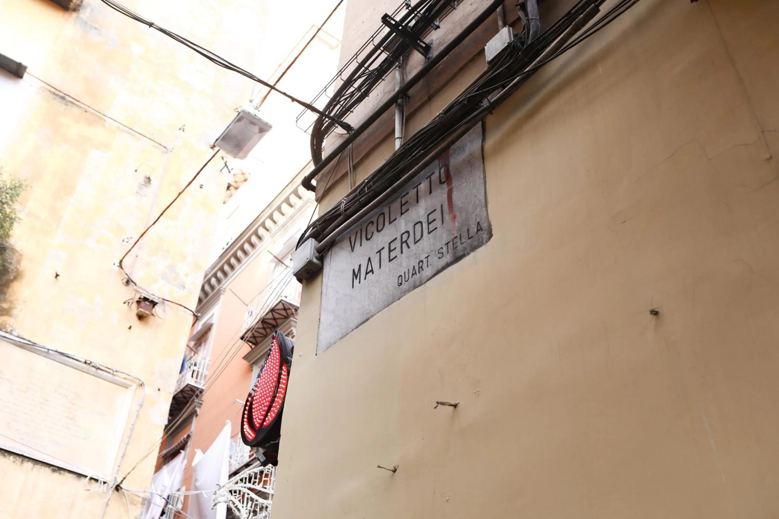 Other in Materdays 24