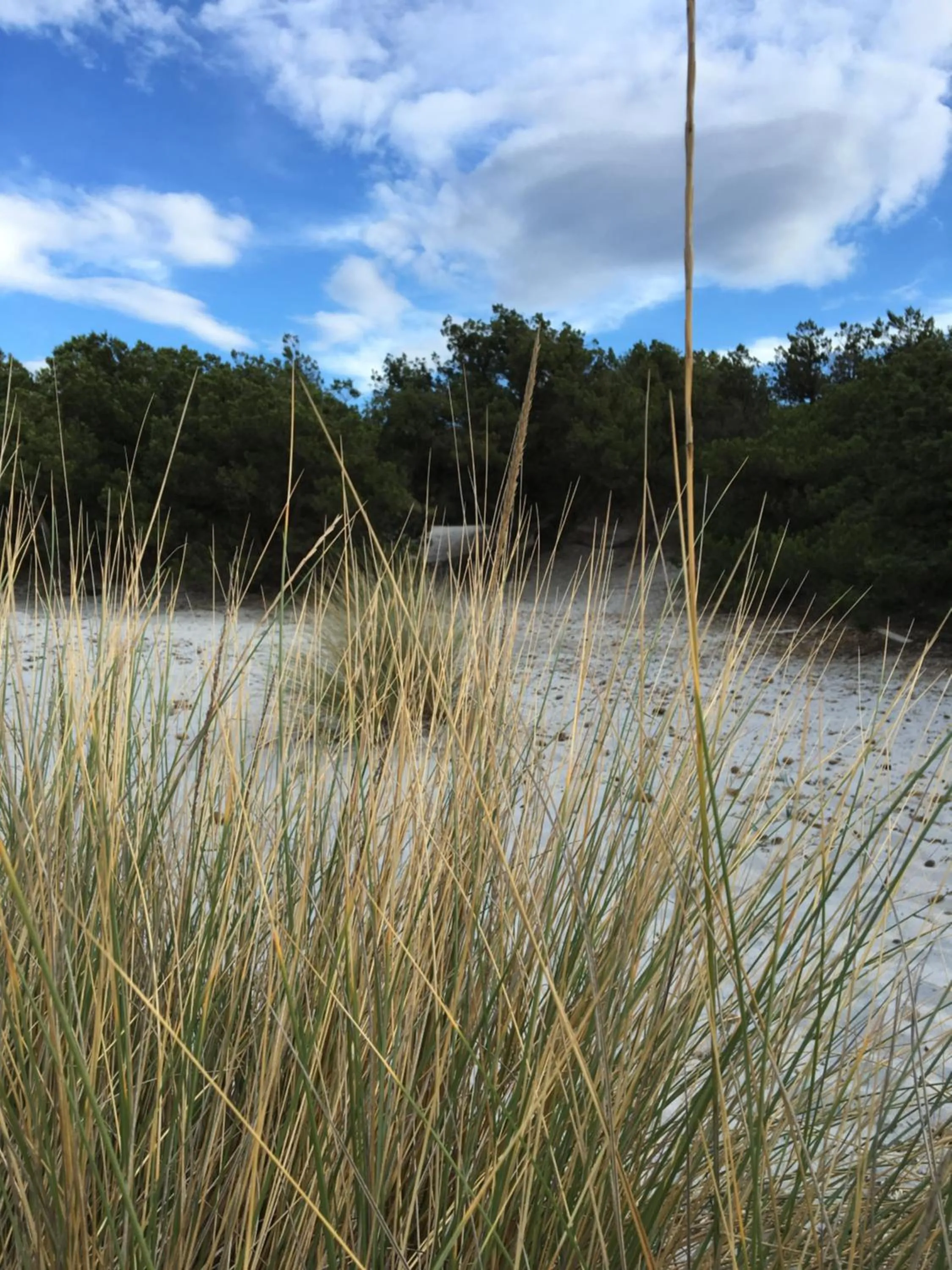 Suite cucinino, bagno, ingresso indipendente in" Villa VìVì"