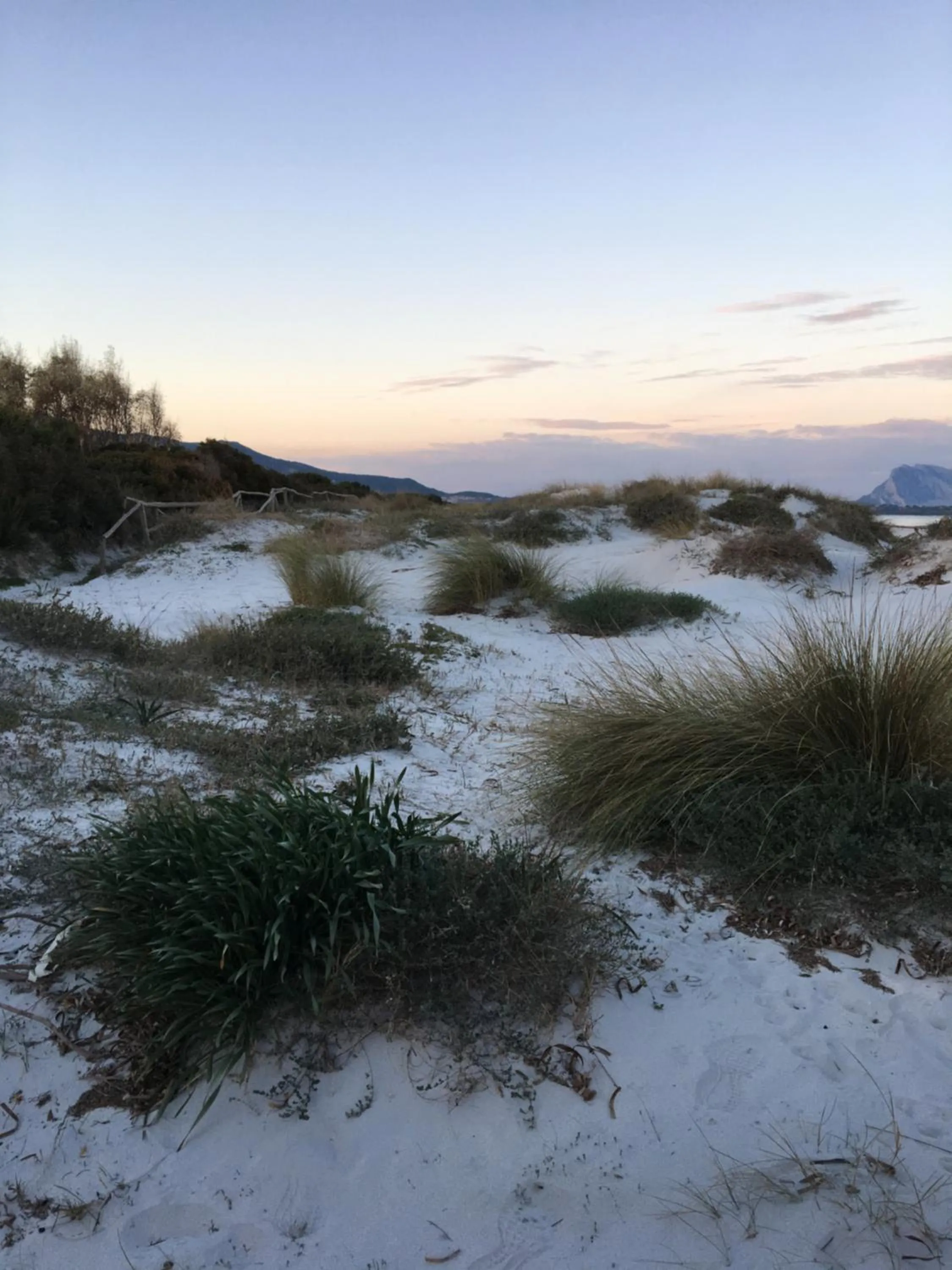 Hiking in Suite cucinino, bagno, ingresso indipendente in" Villa VìVì"
