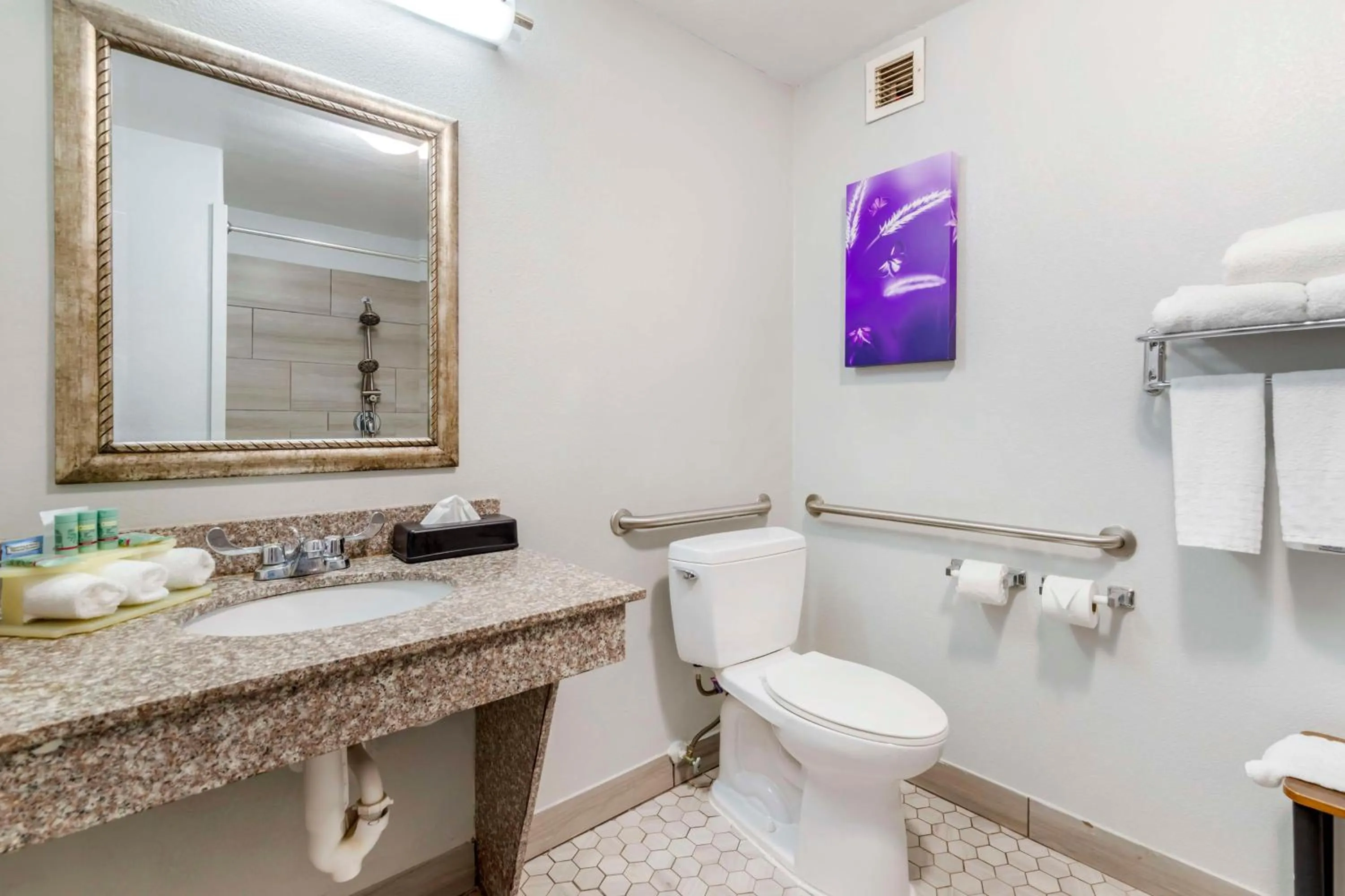 Bathroom in Best Western Medical Center North Inn & Suites Near Six Flags