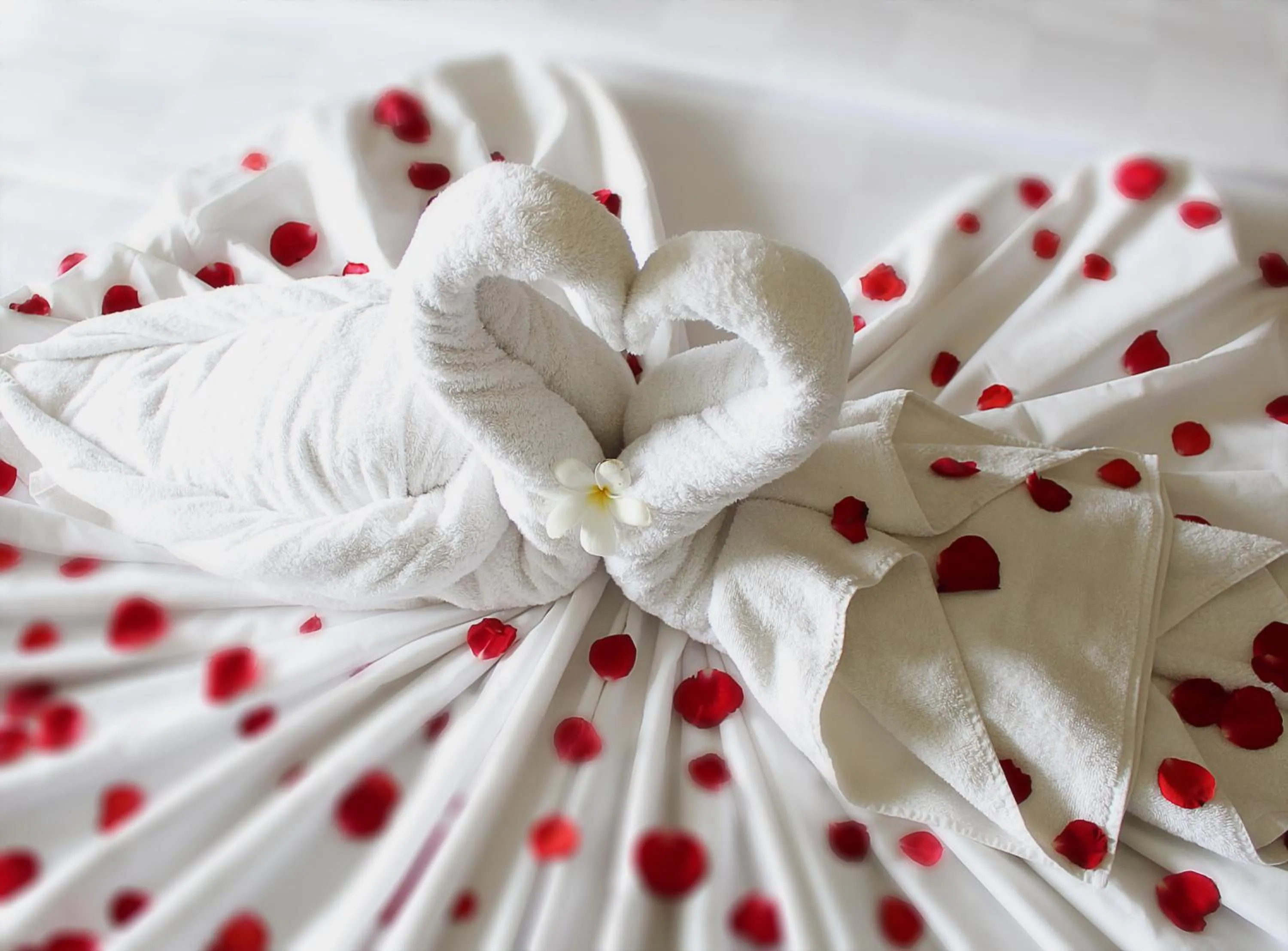 Activities in Golden Tulip Jineng Resort Bali