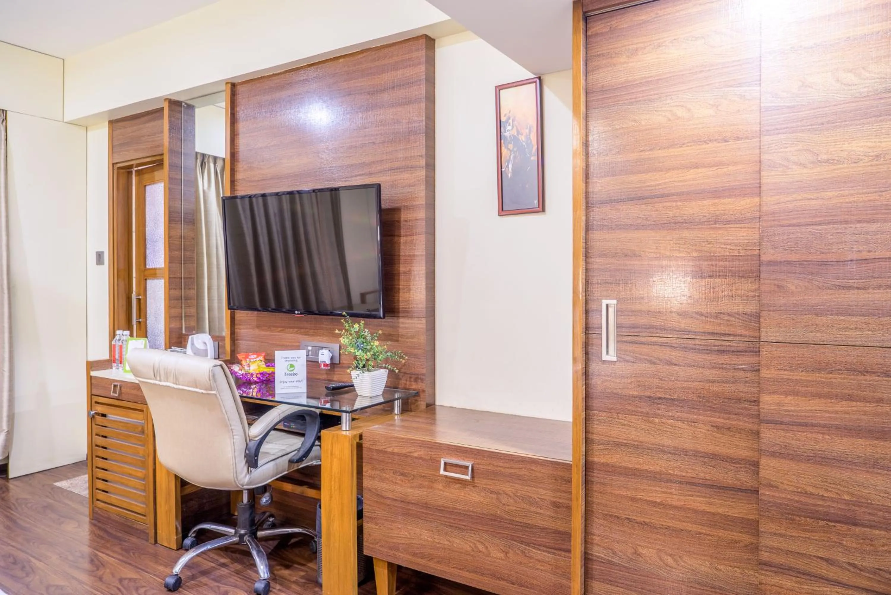 TV and multimedia in Super Inn Armoise Hotel - Navrangpura, Ahmedabad