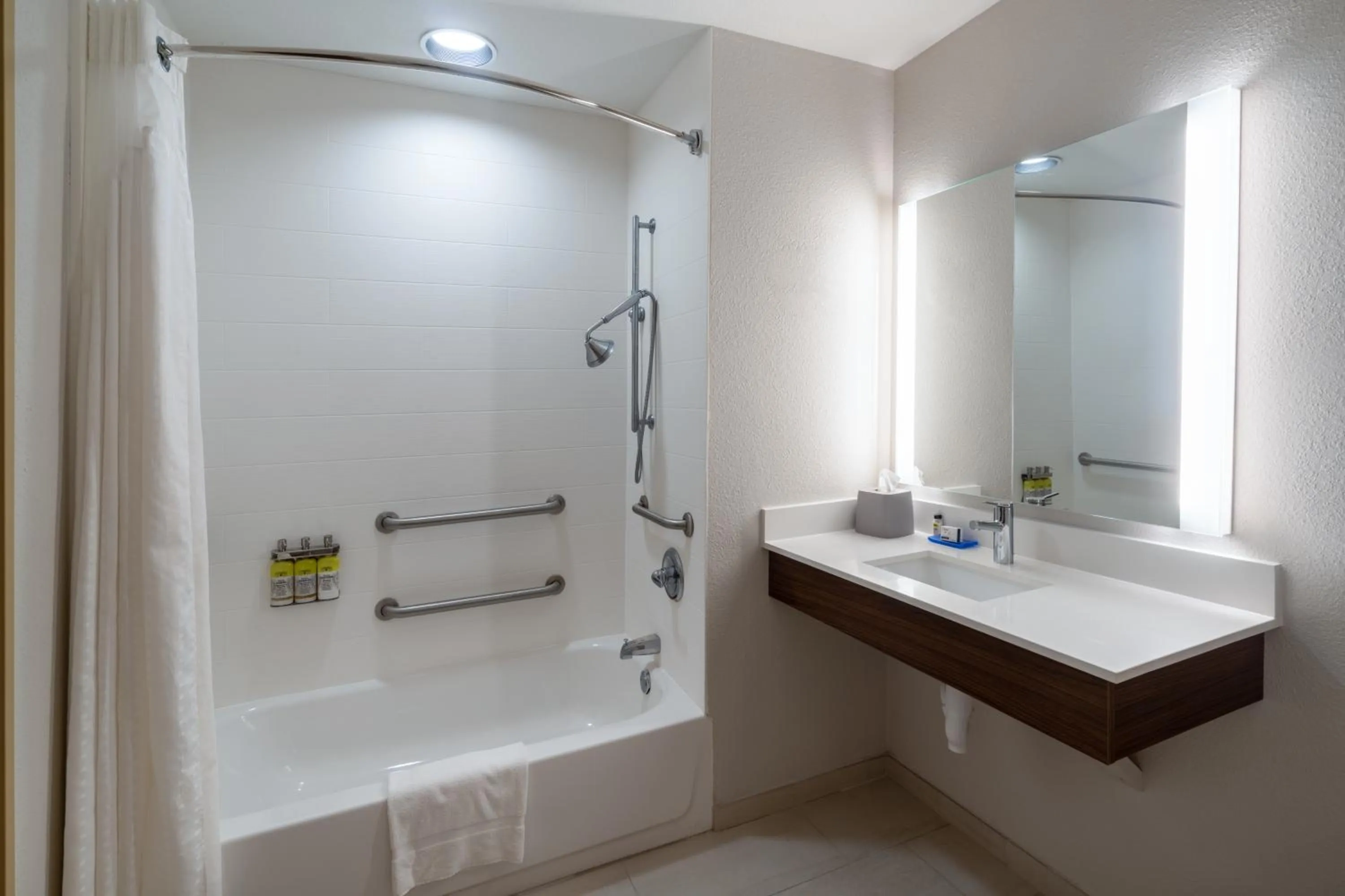 Bathroom in Holiday Inn Express Hotel & Suites Talladega by IHG