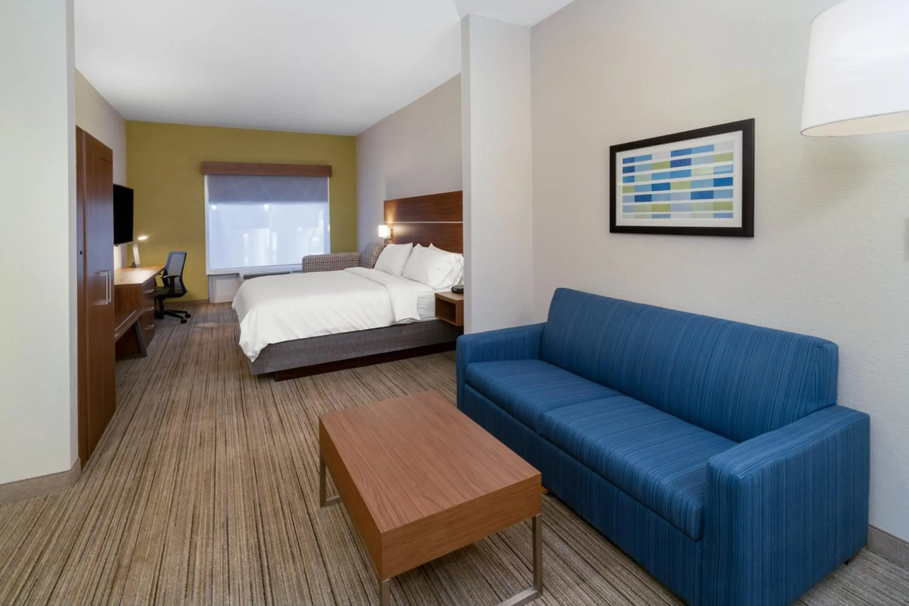 Standard Room in Holiday Inn Express Hotel & Suites Talladega by IHG Standard Room in Holiday Inn Express Hotel & Suites Talladega by IHG
