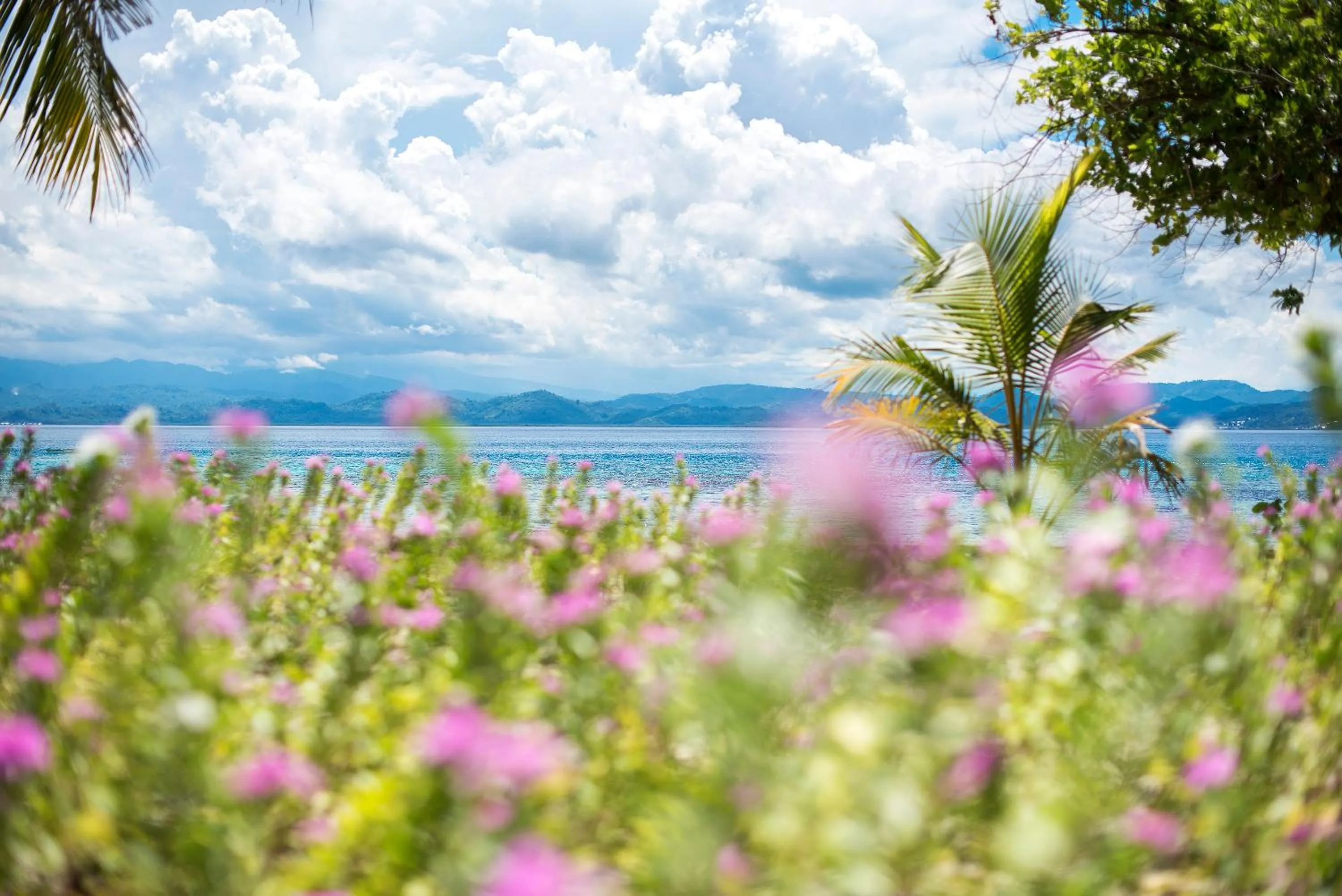 Day in Gangga Island Resort & Spa