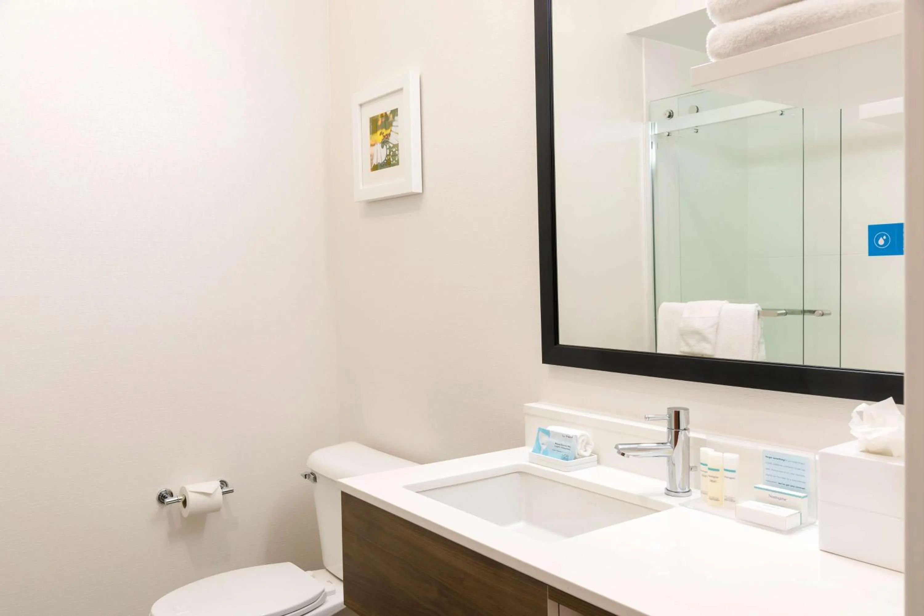 Bathroom in Hampton Inn & Suites East Lansing