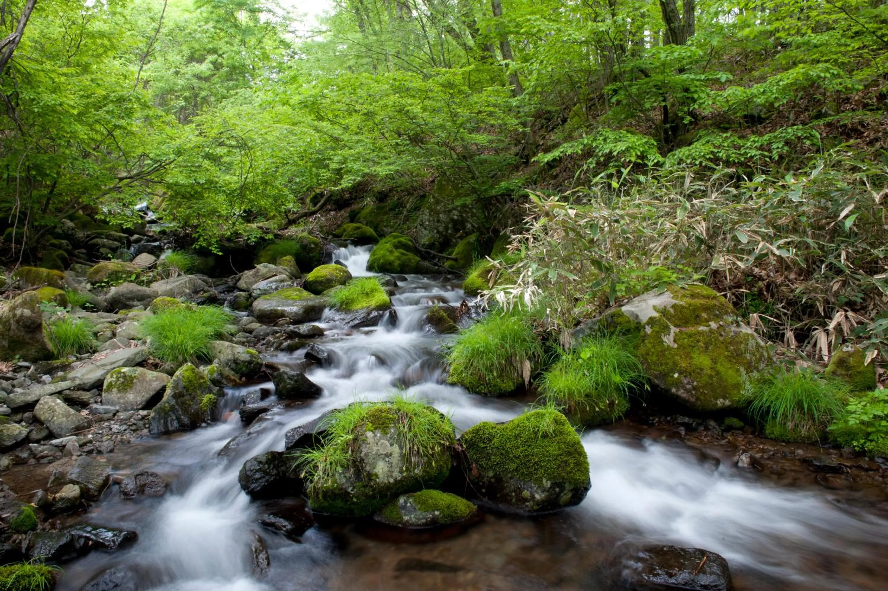 Natural landscape in Tateshina Tokyu Hotel