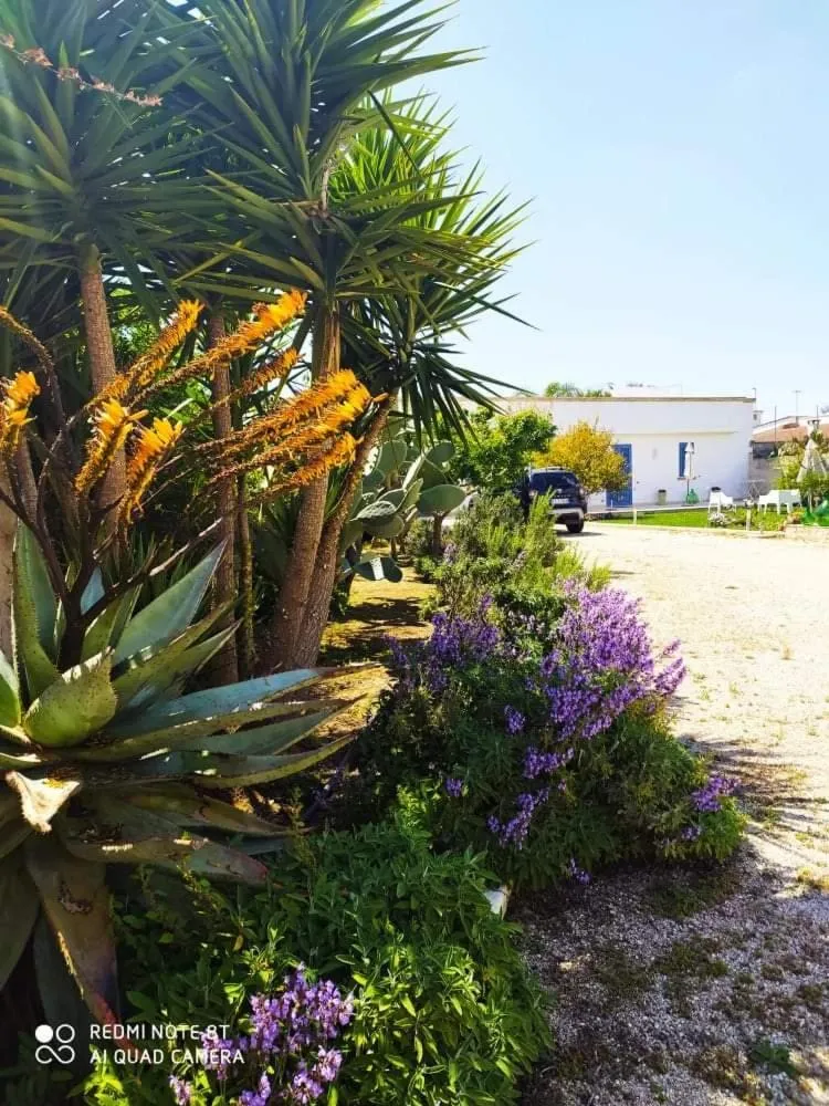 Garden in LI CURTI B&B