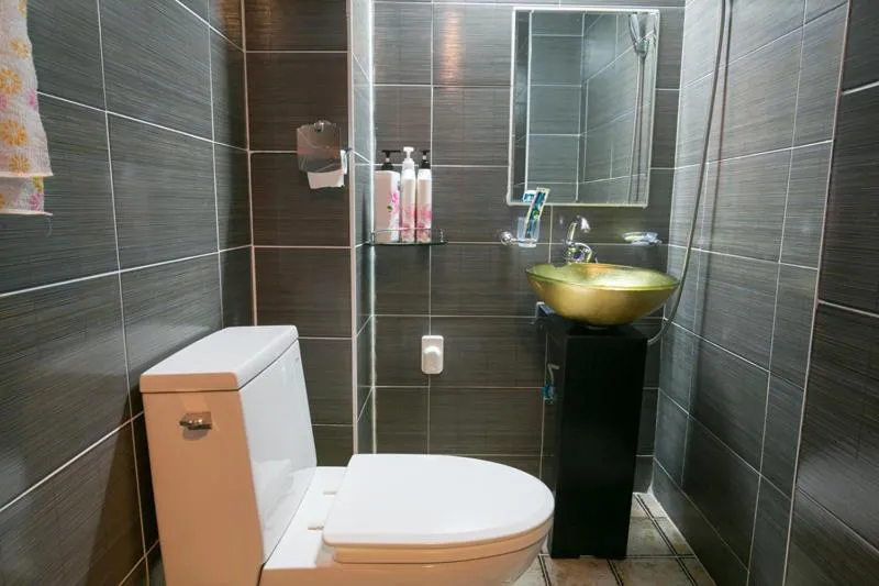 Toilet, Bathroom in Ddlanche Guesthouse New Building