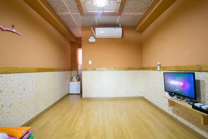 TV and multimedia in Ddlanche Guesthouse New Building