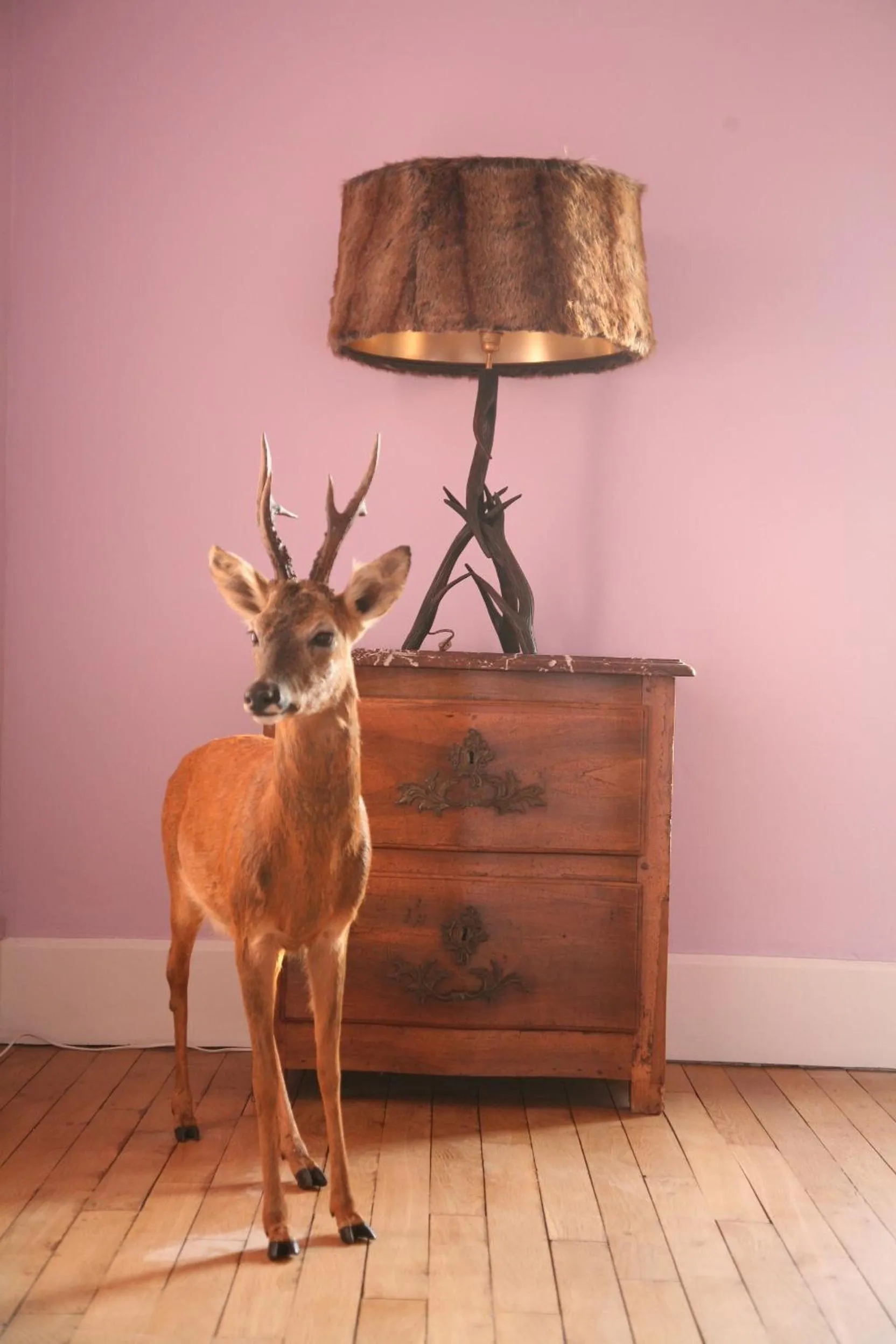 Decorative detail in Maison d'hôtes Stella Cadente